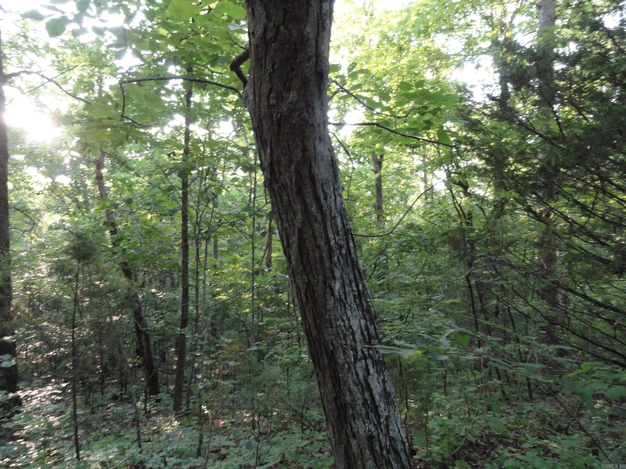 168 Reflections  Marshall, AR