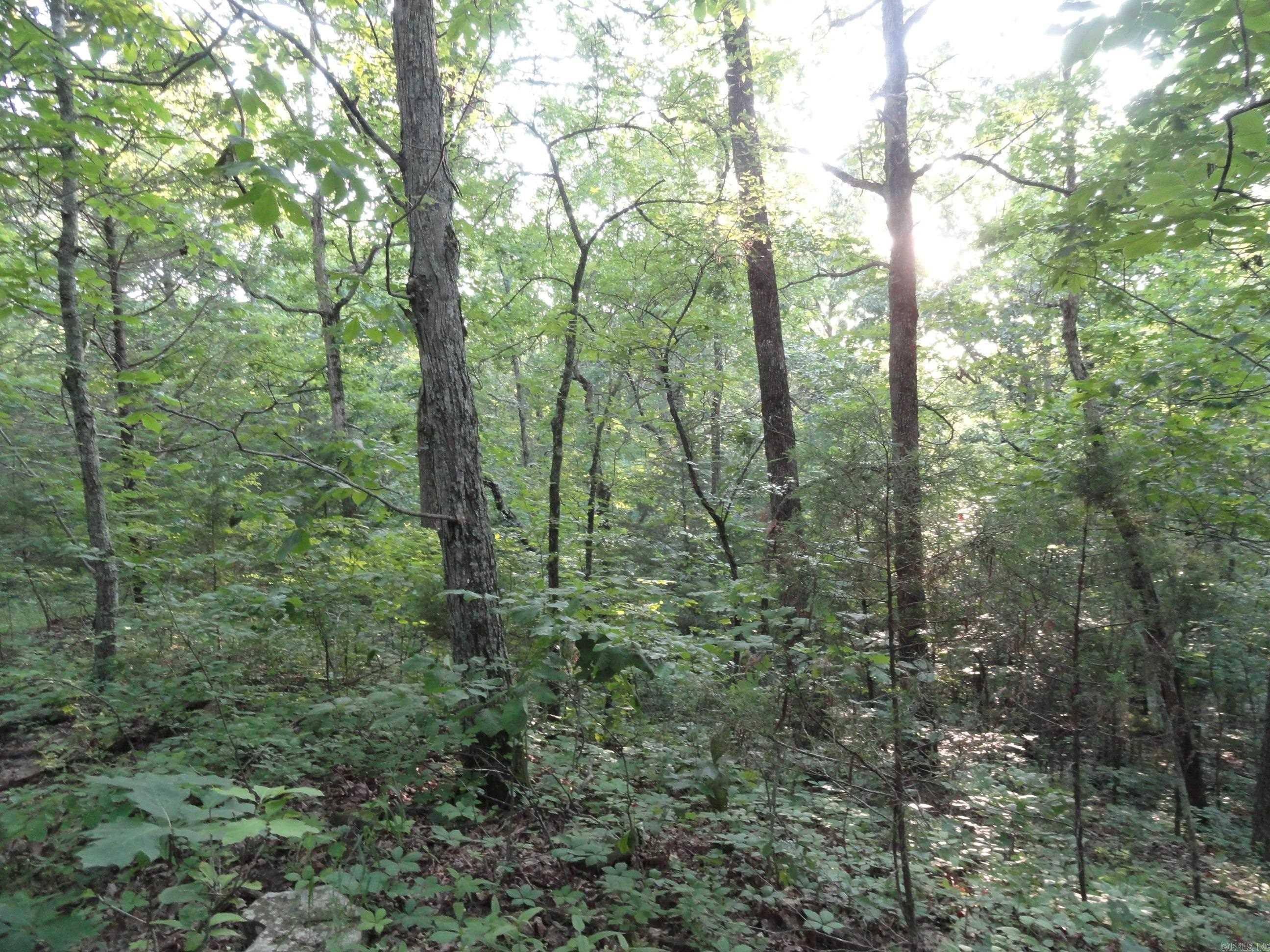 168 Reflections  Marshall, AR