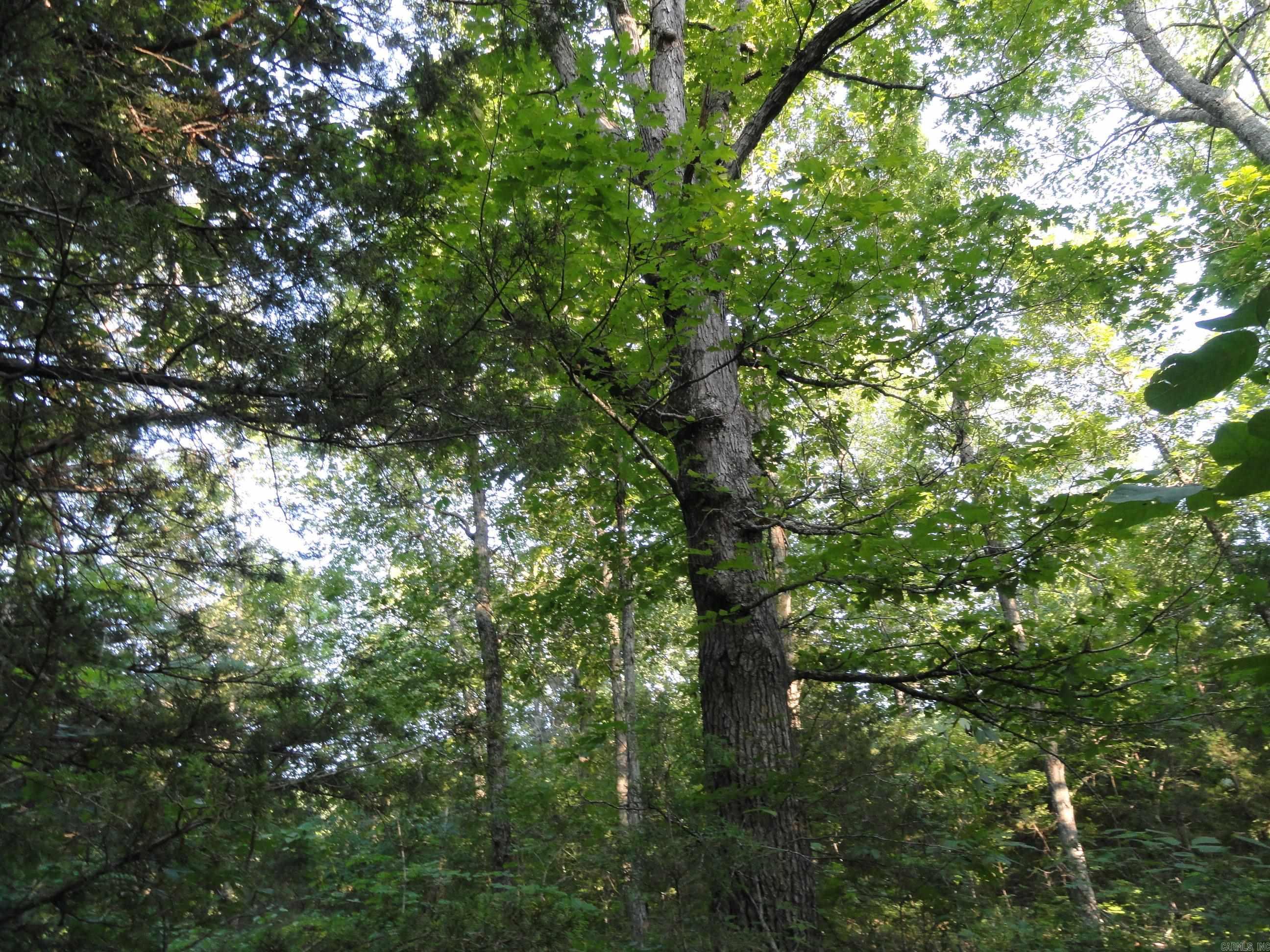 168 Reflections  Marshall, AR