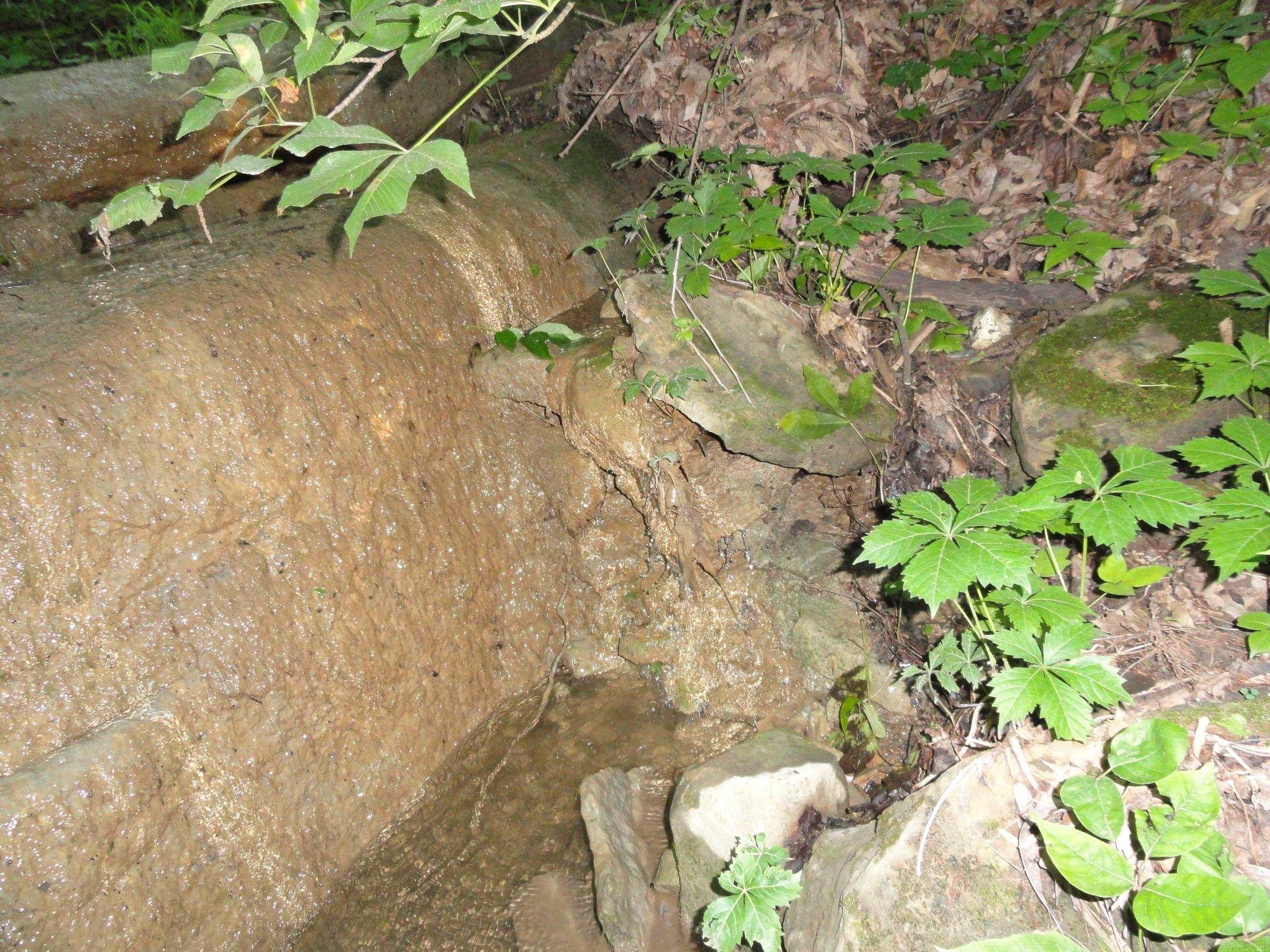 168 Reflections  Marshall, AR