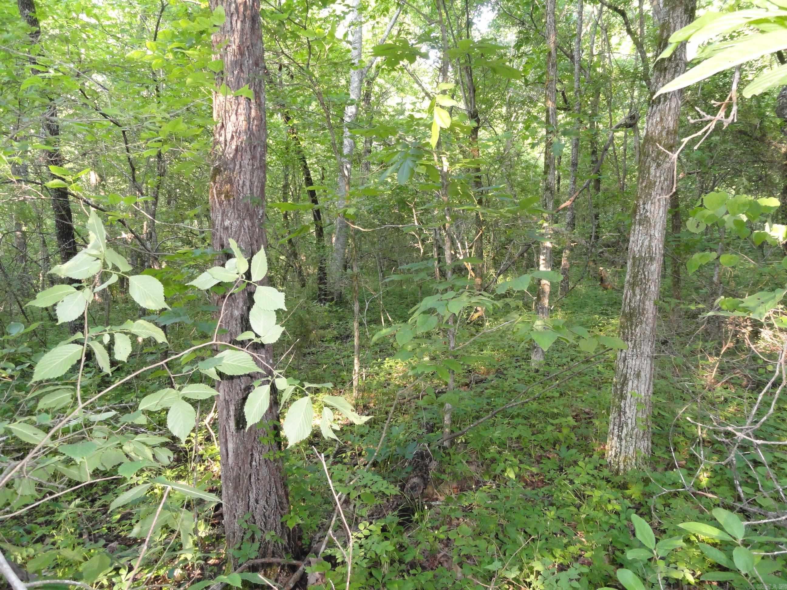 168 Reflections  Marshall, AR