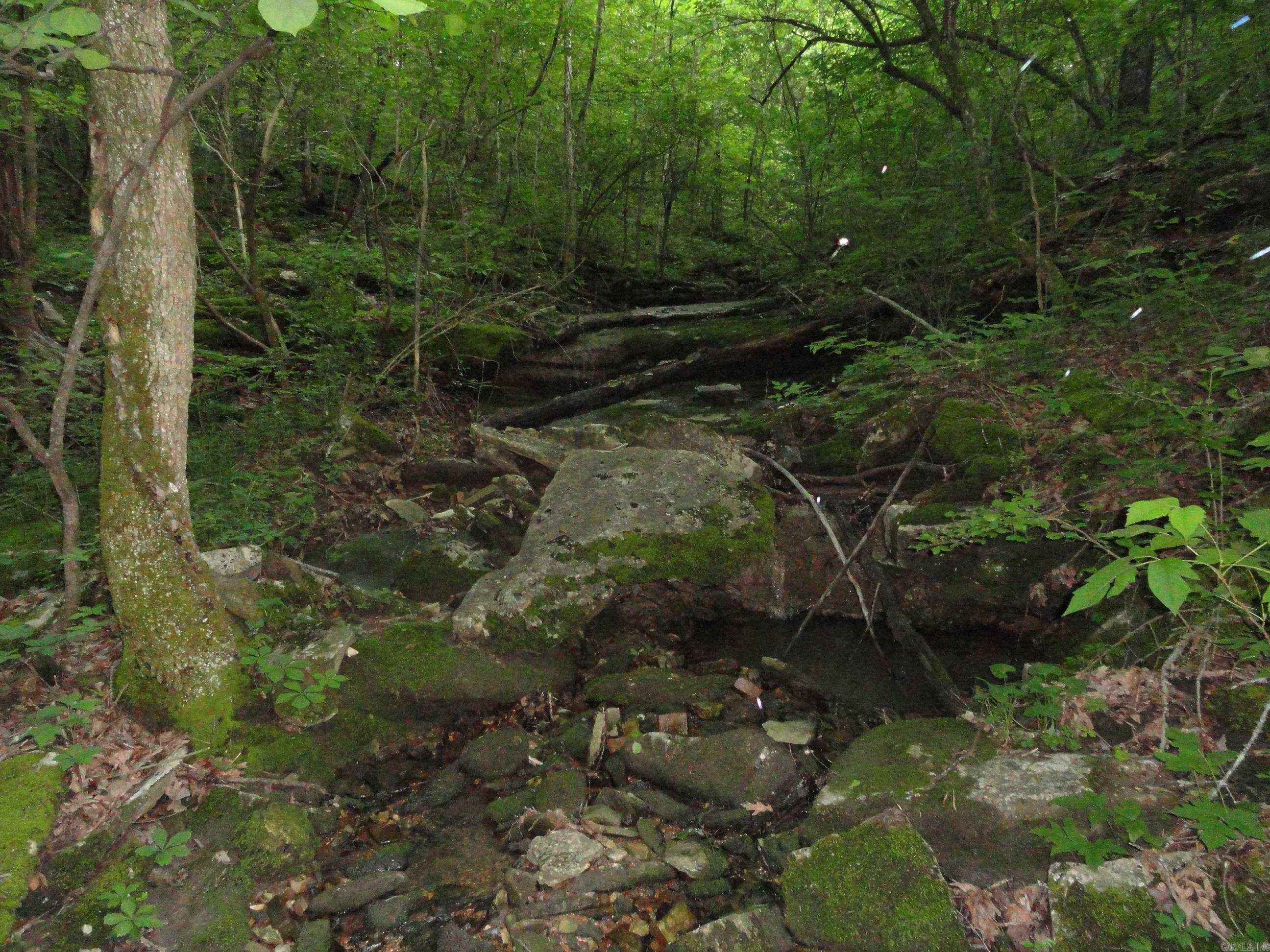 168 Reflections  Marshall, AR