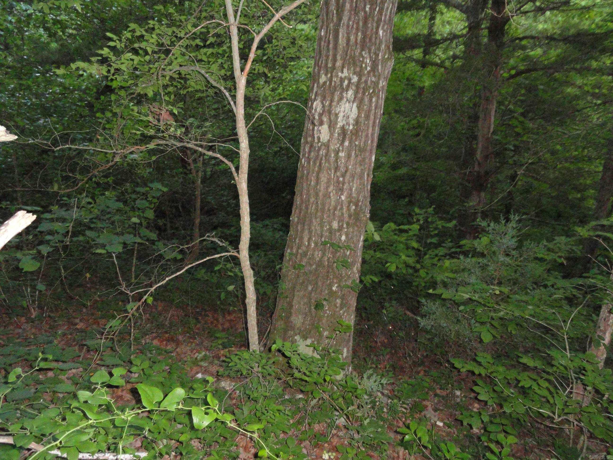 168 Reflections  Marshall, AR