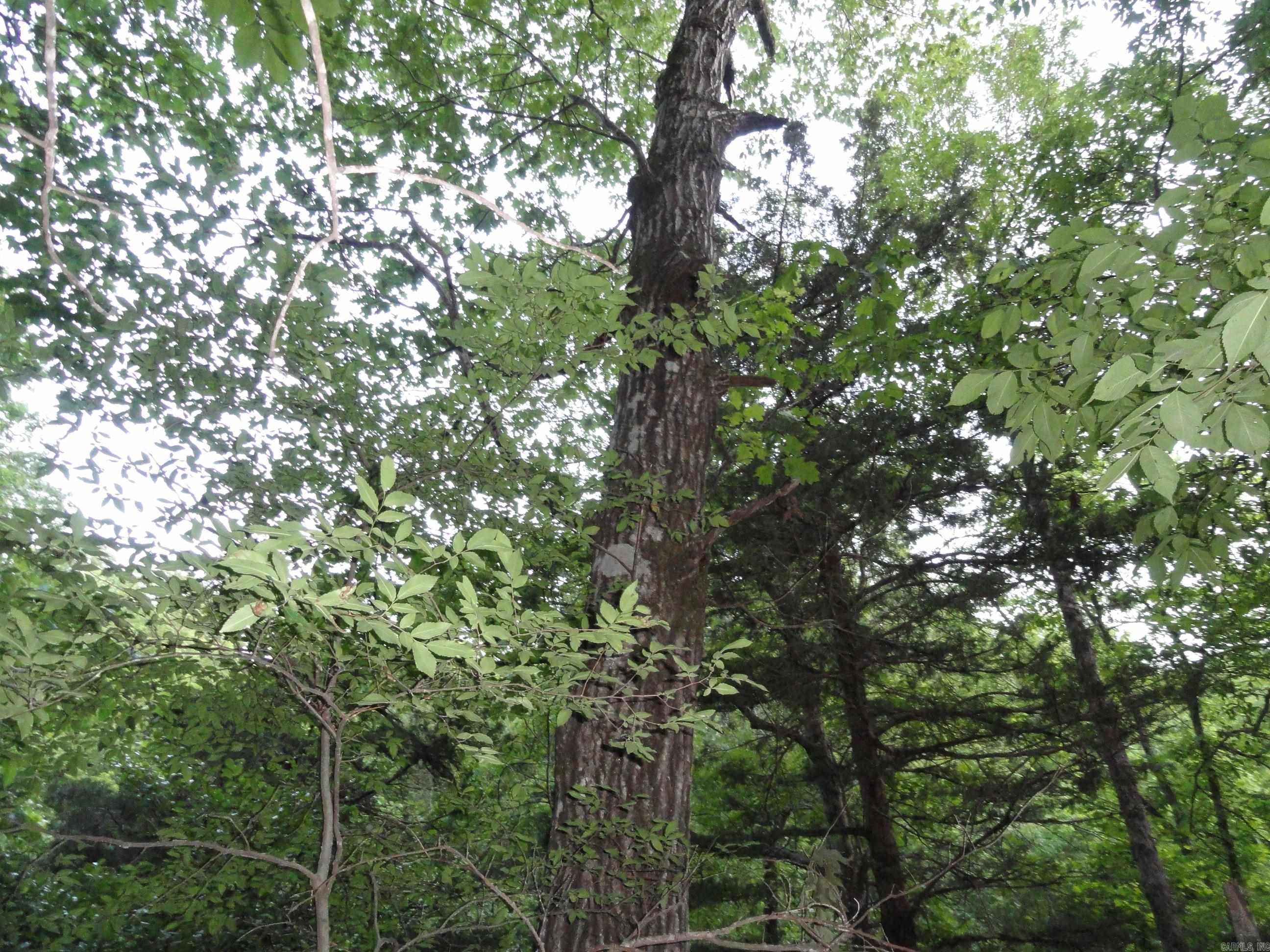 168 Reflections  Marshall, AR