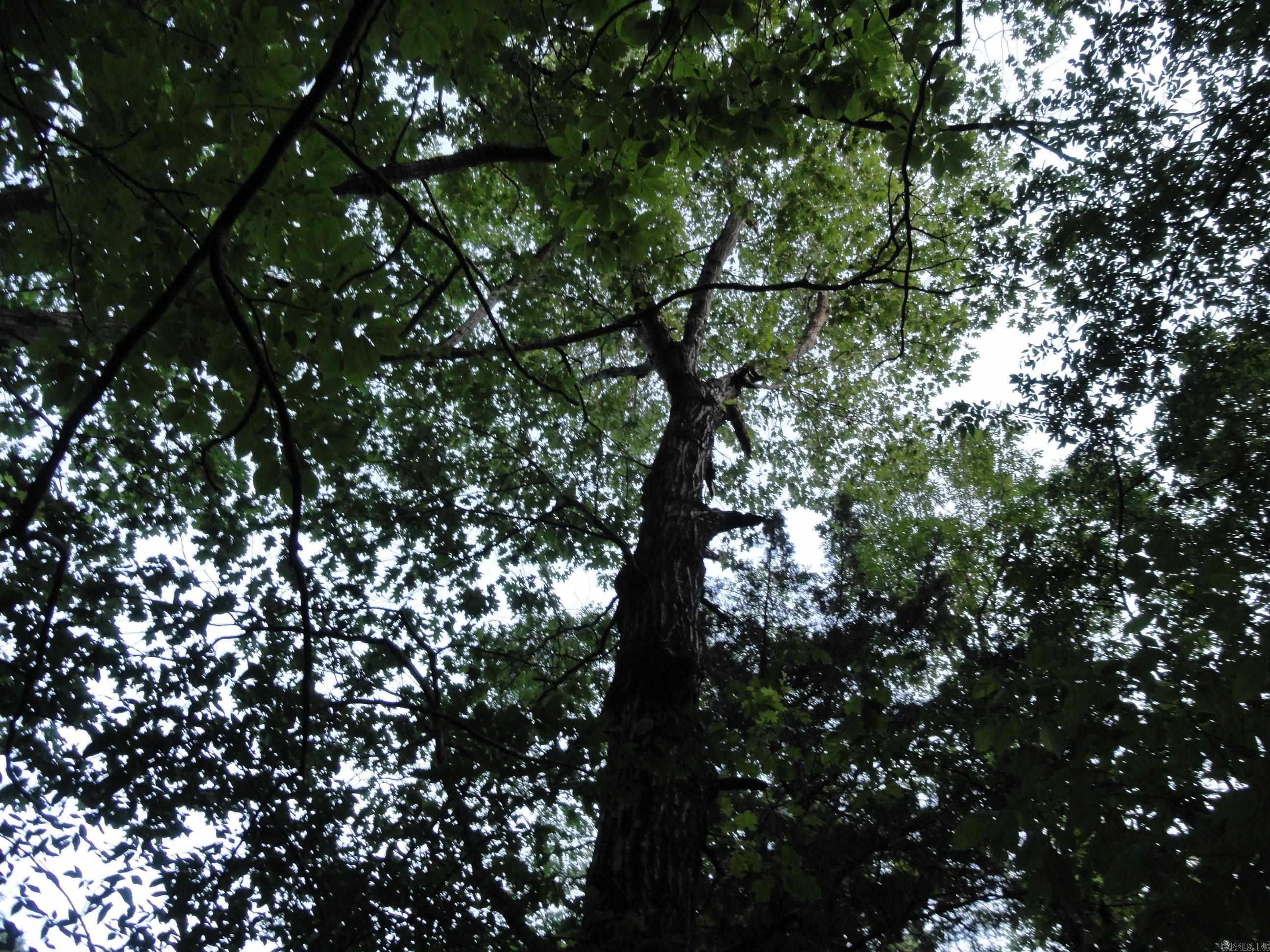 168 Reflections  Marshall, AR