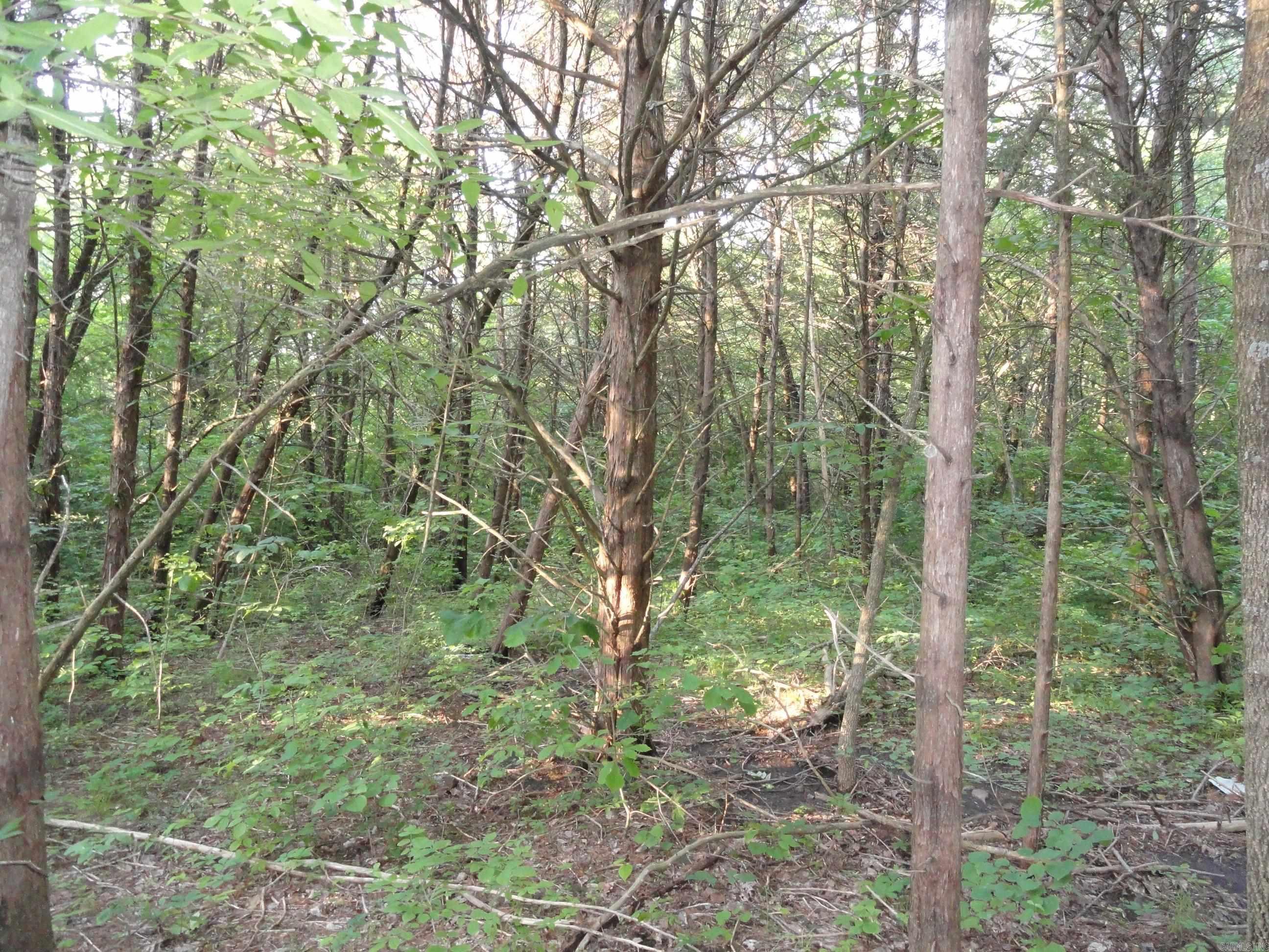 168 Reflections  Marshall, AR