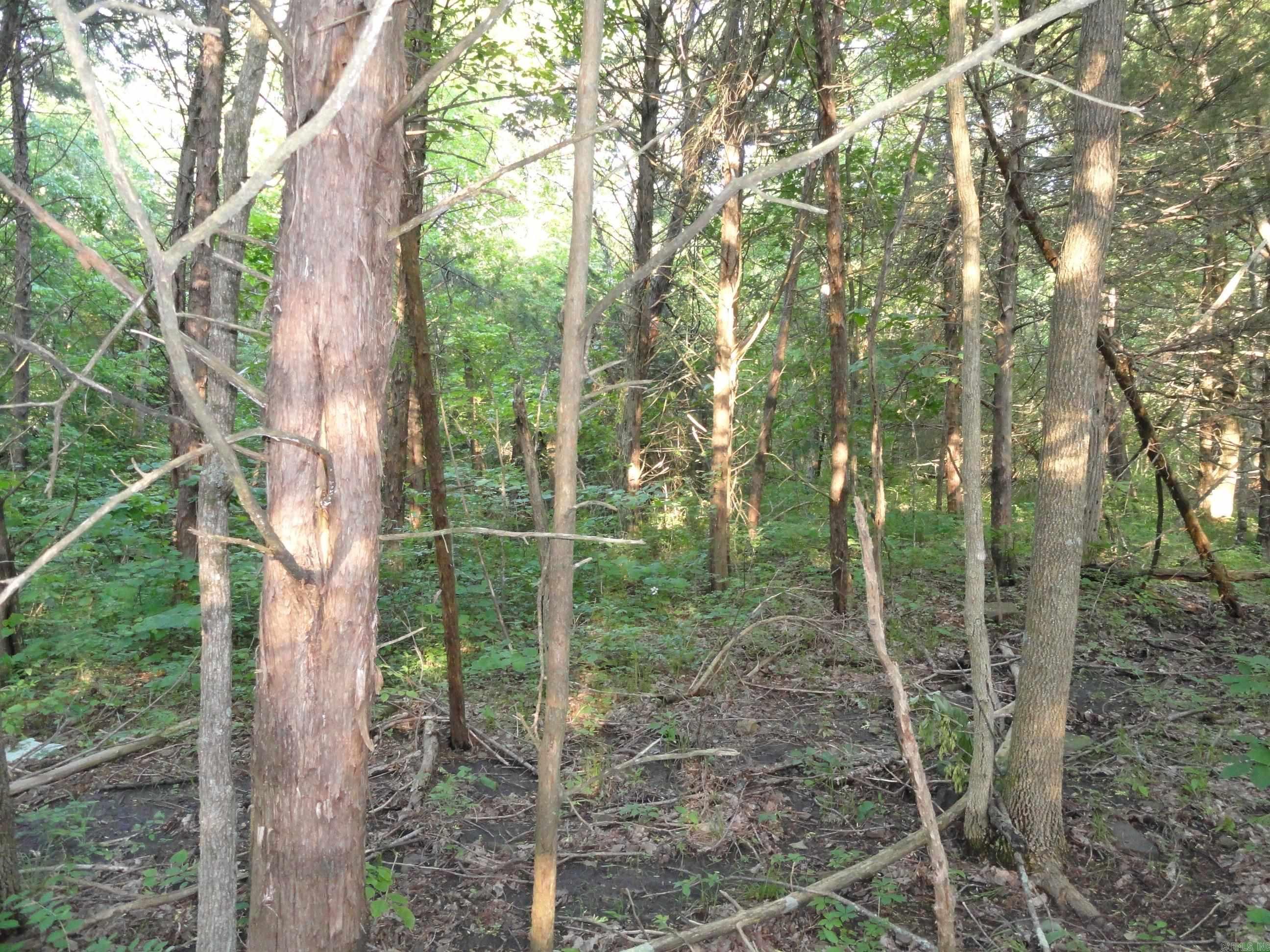 168 Reflections  Marshall, AR