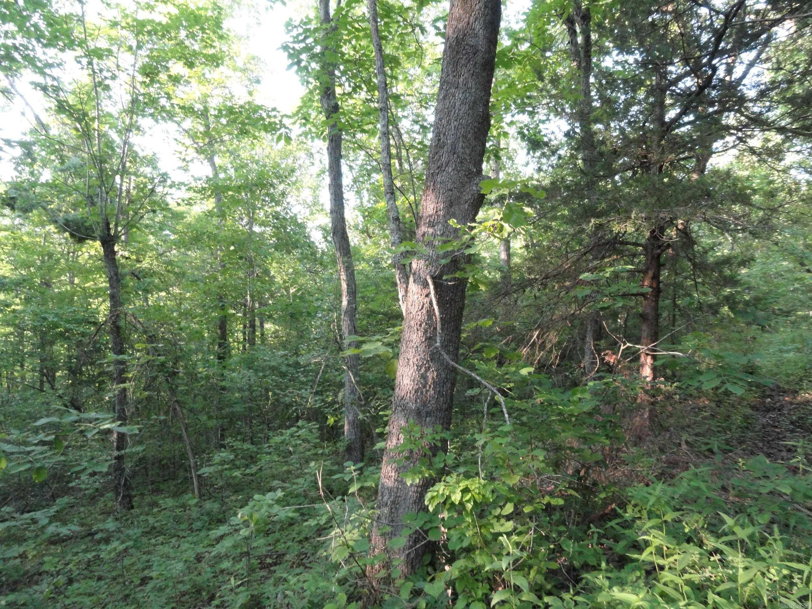 168 Reflections  Marshall, AR