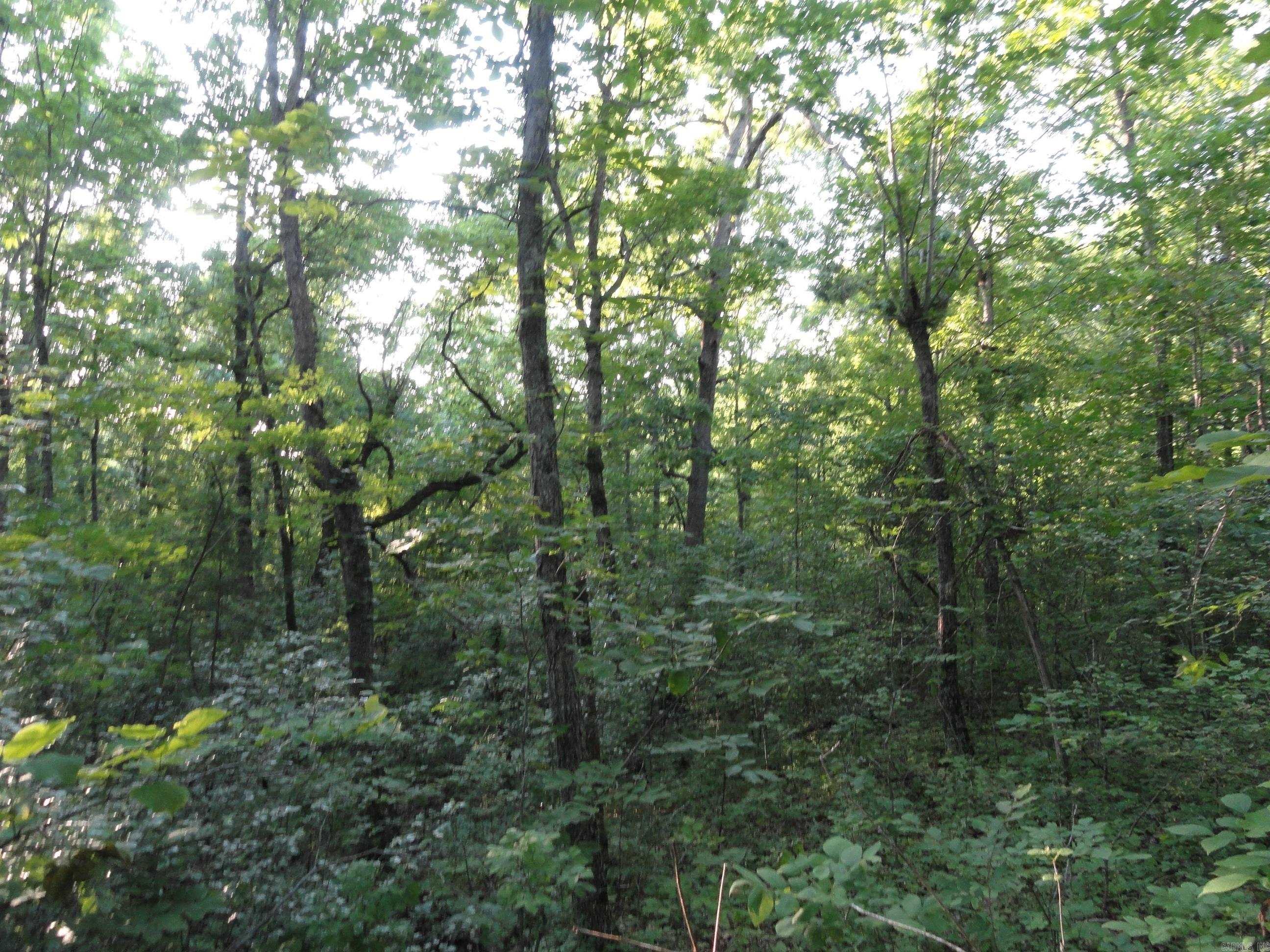 168 Reflections  Marshall, AR