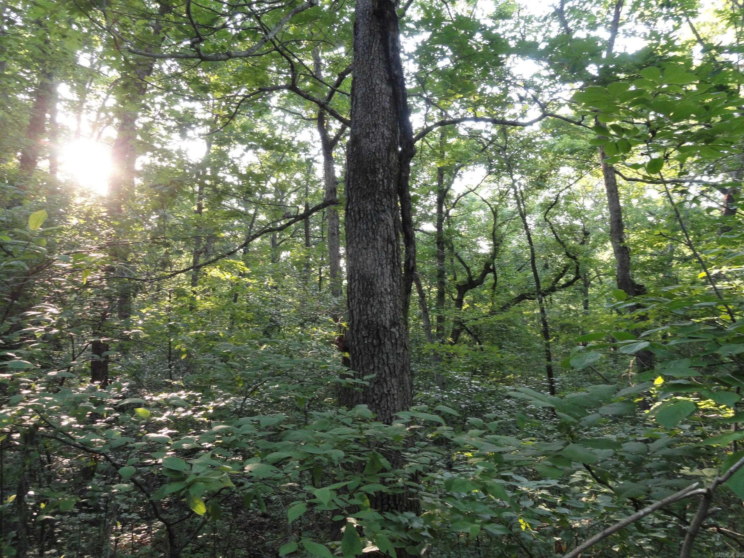 168 Reflections  Marshall, AR