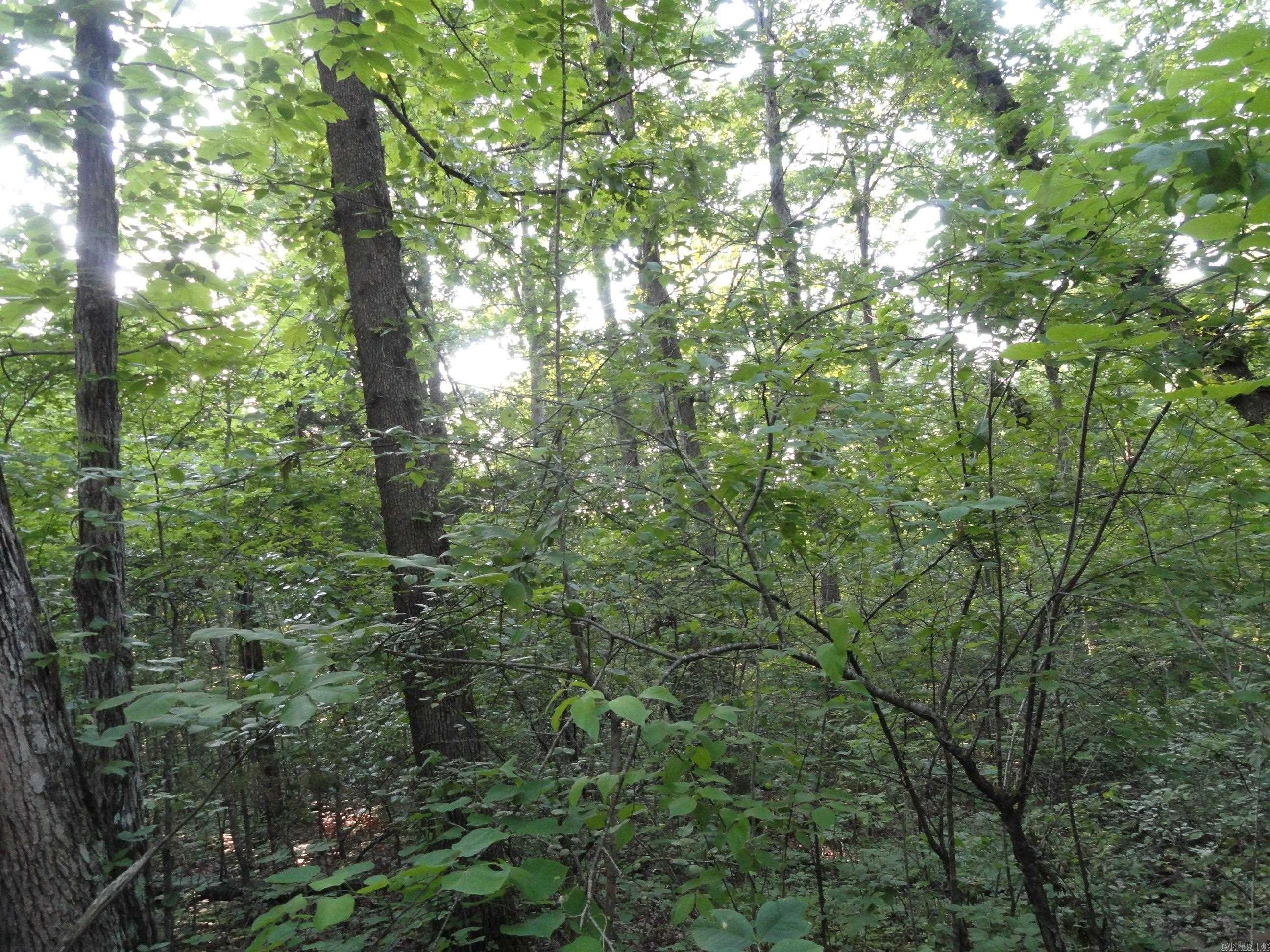 168 Reflections  Marshall, AR