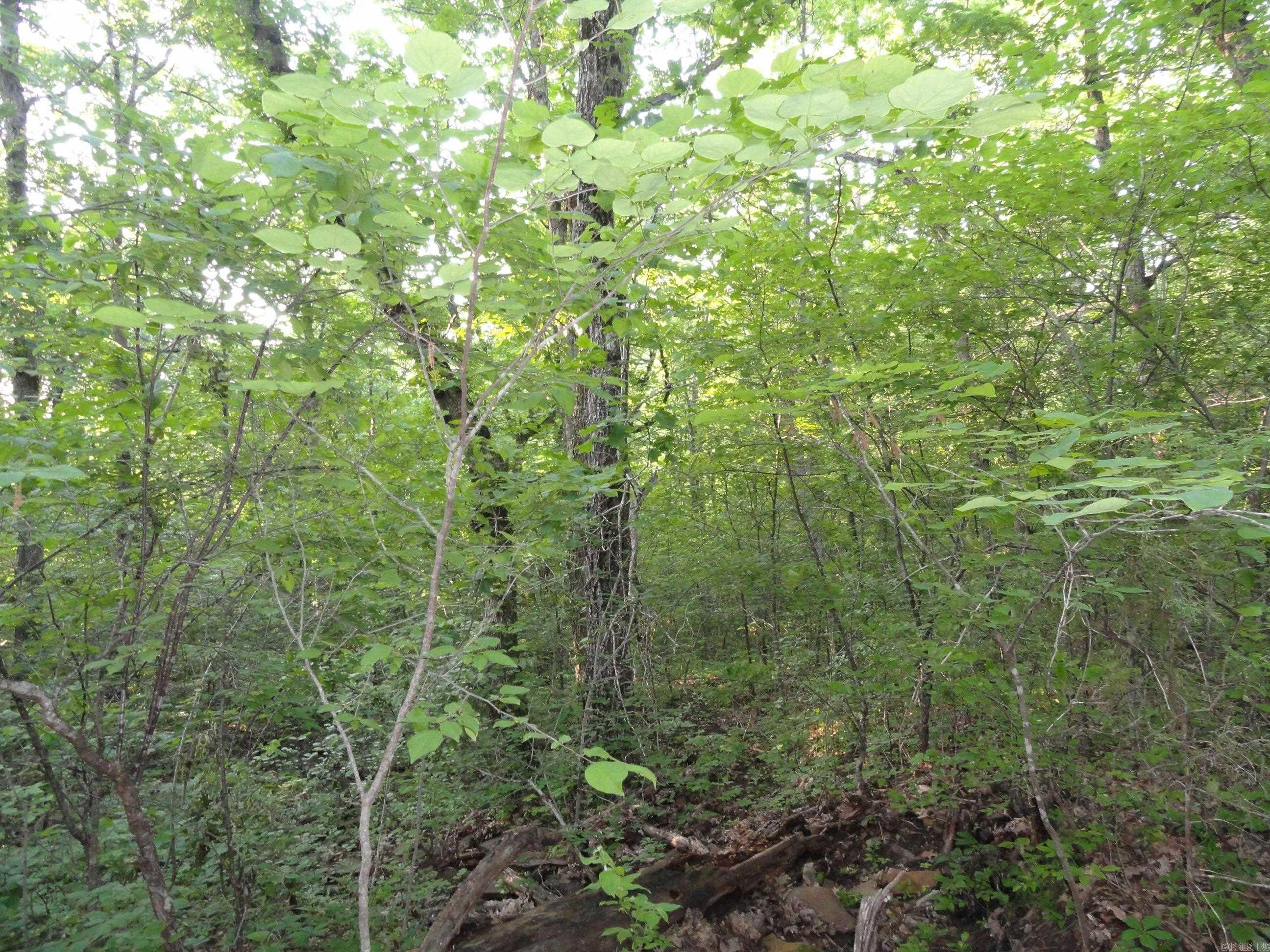 168 Reflections  Marshall, AR