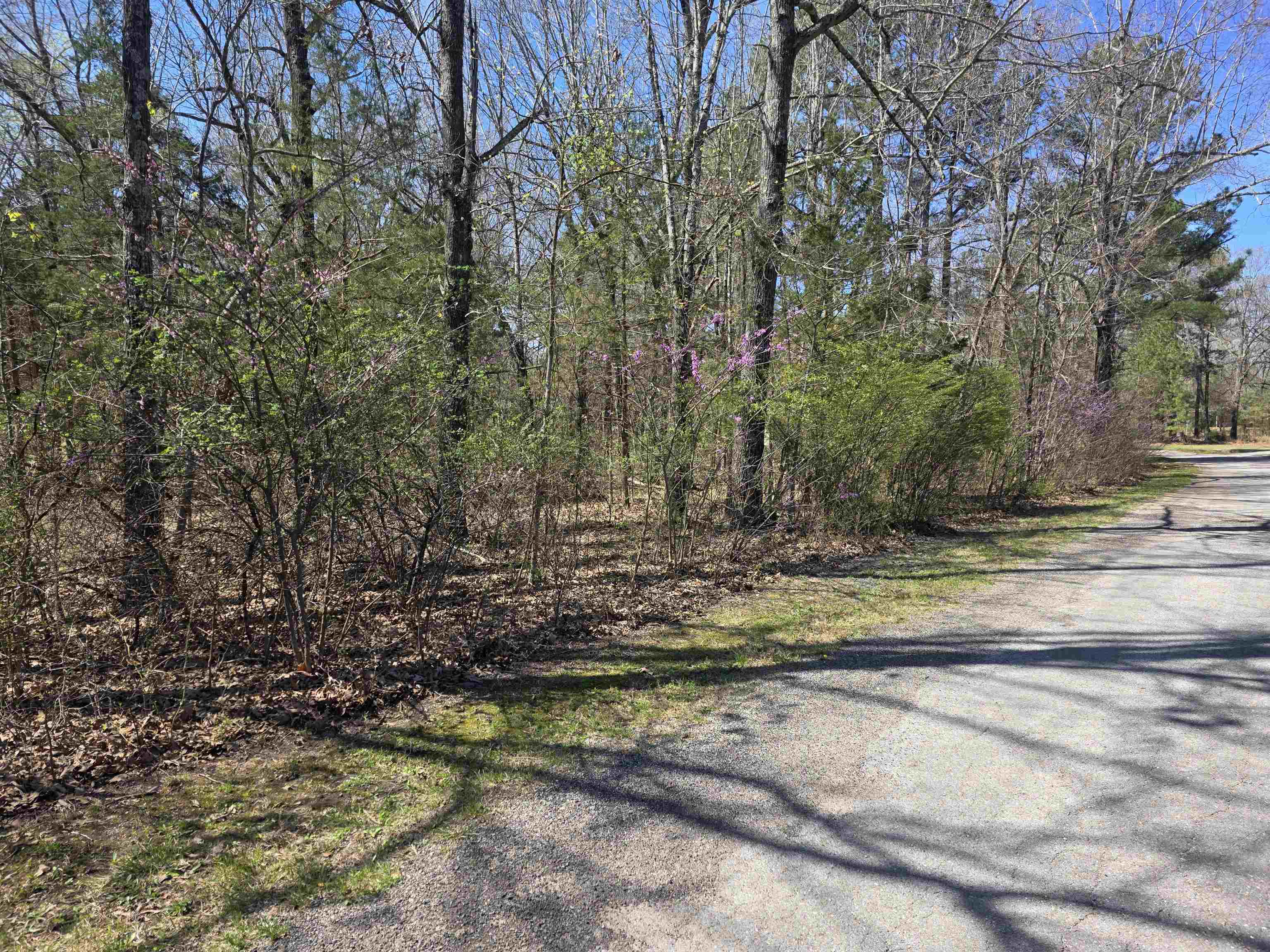 L-22 B-10 Nameoki  Cherokee Village, AR