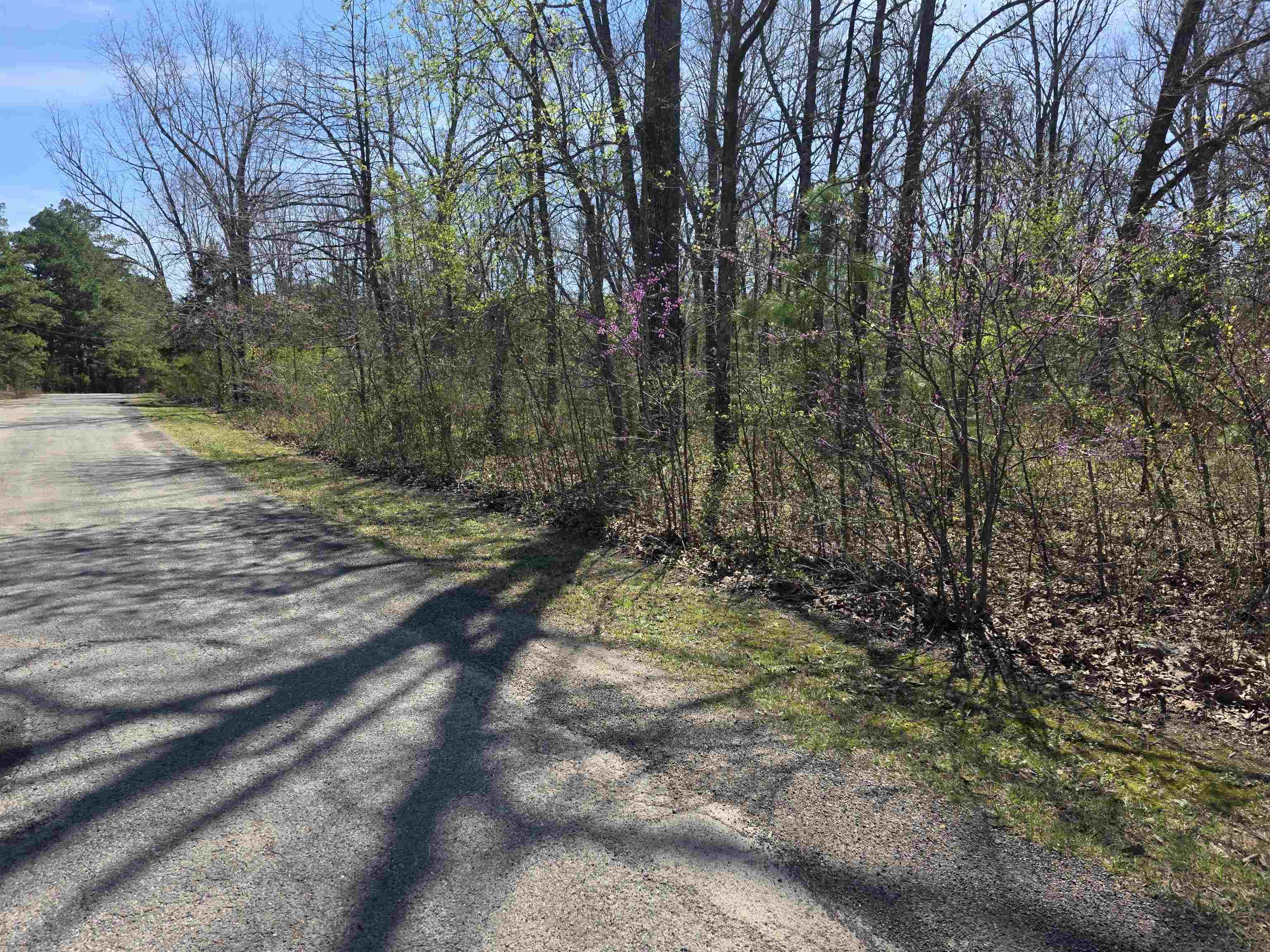 L-22 B-10 Nameoki  Cherokee Village, AR