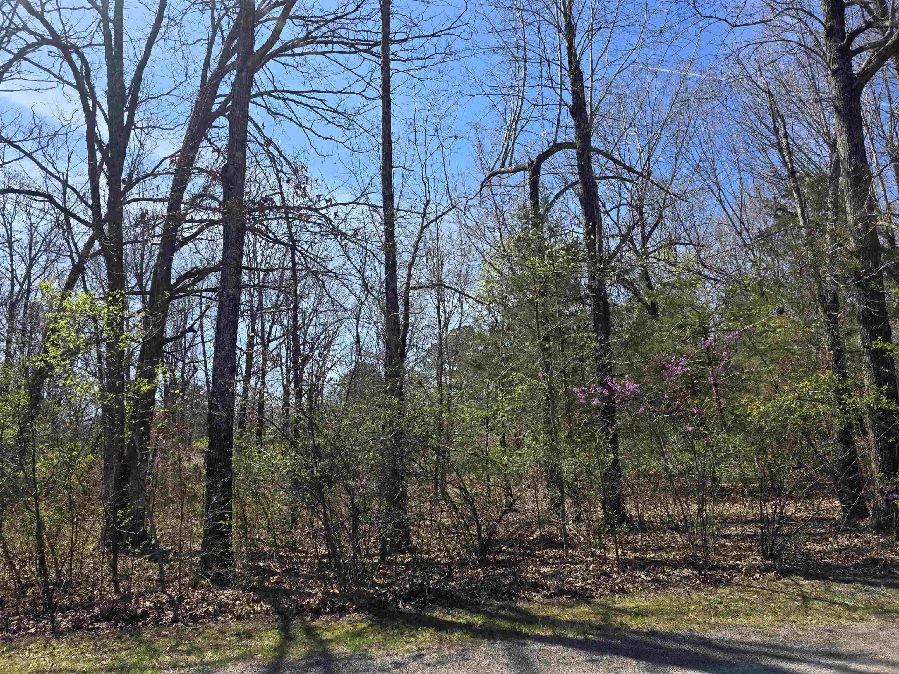 L-22 B-10 Nameoki  Cherokee Village, AR