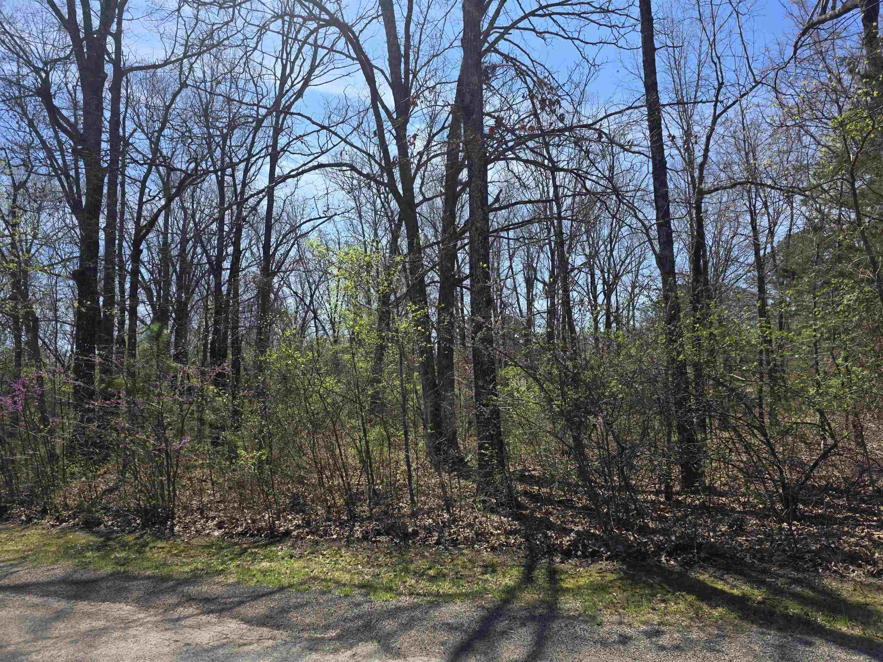 L-22 B-10 Nameoki  Cherokee Village, AR