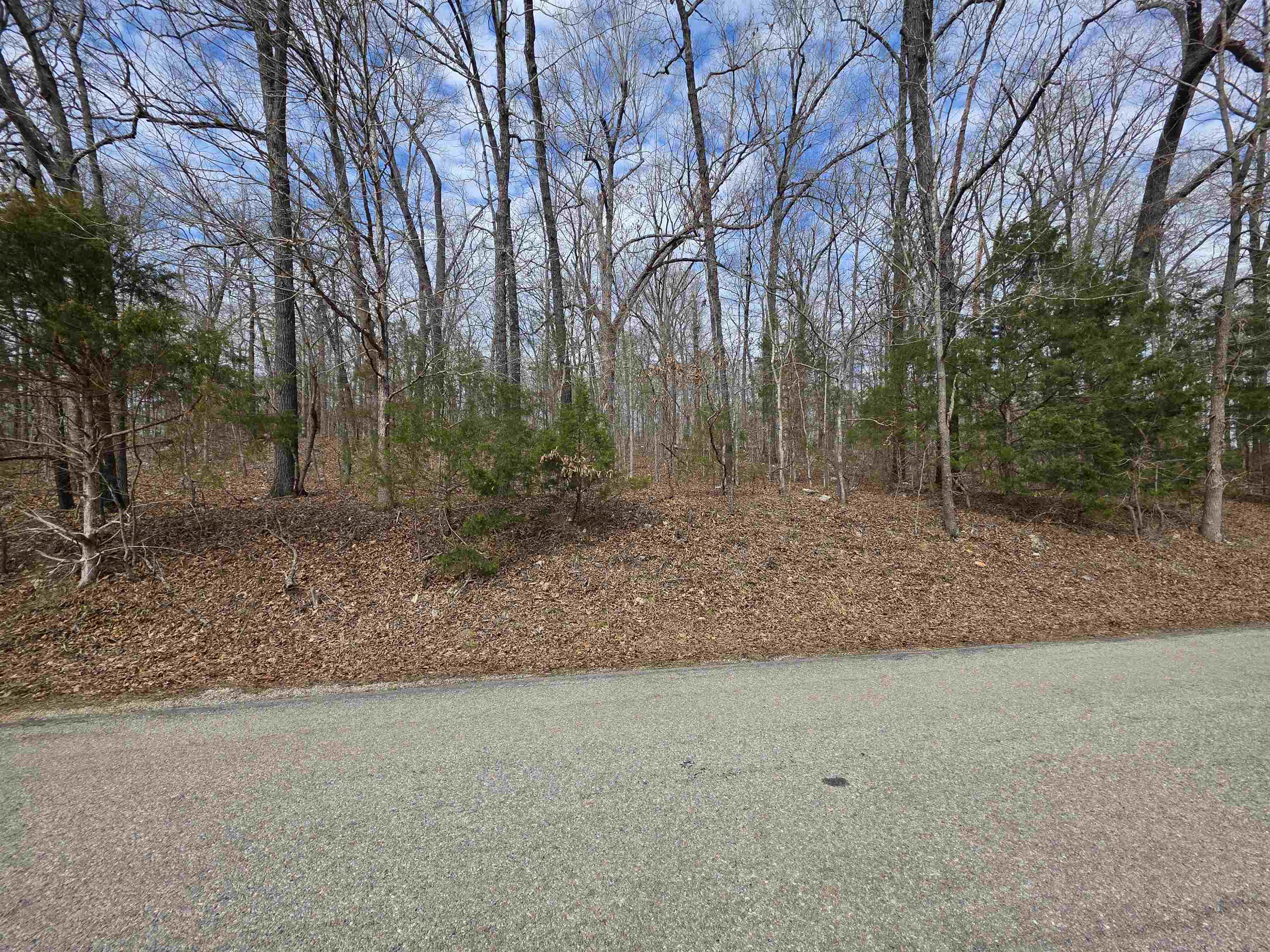 L-13 B-2 Robin Hood  Hardy, AR