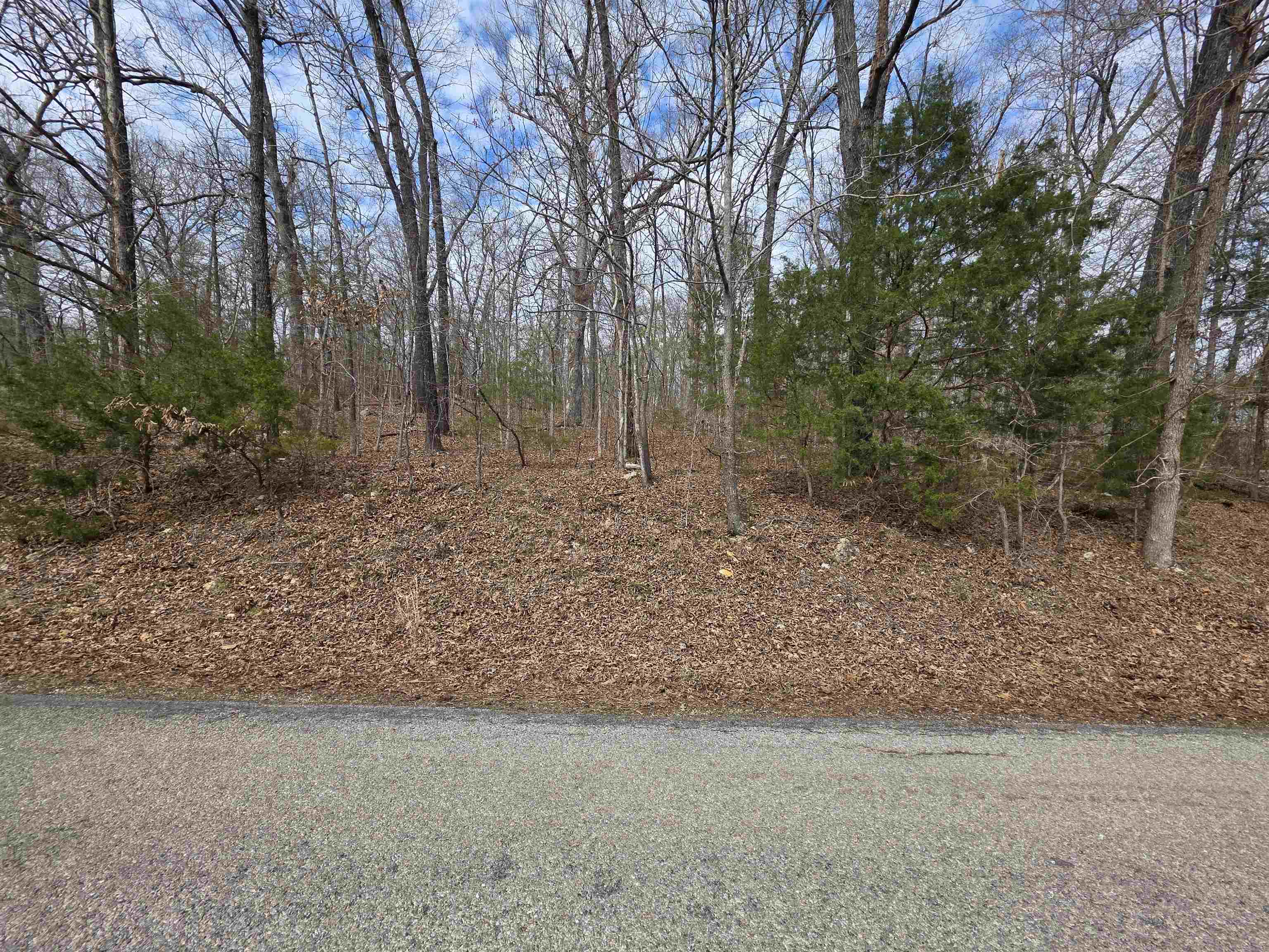 L-13 B-2 Robin Hood  Hardy, AR