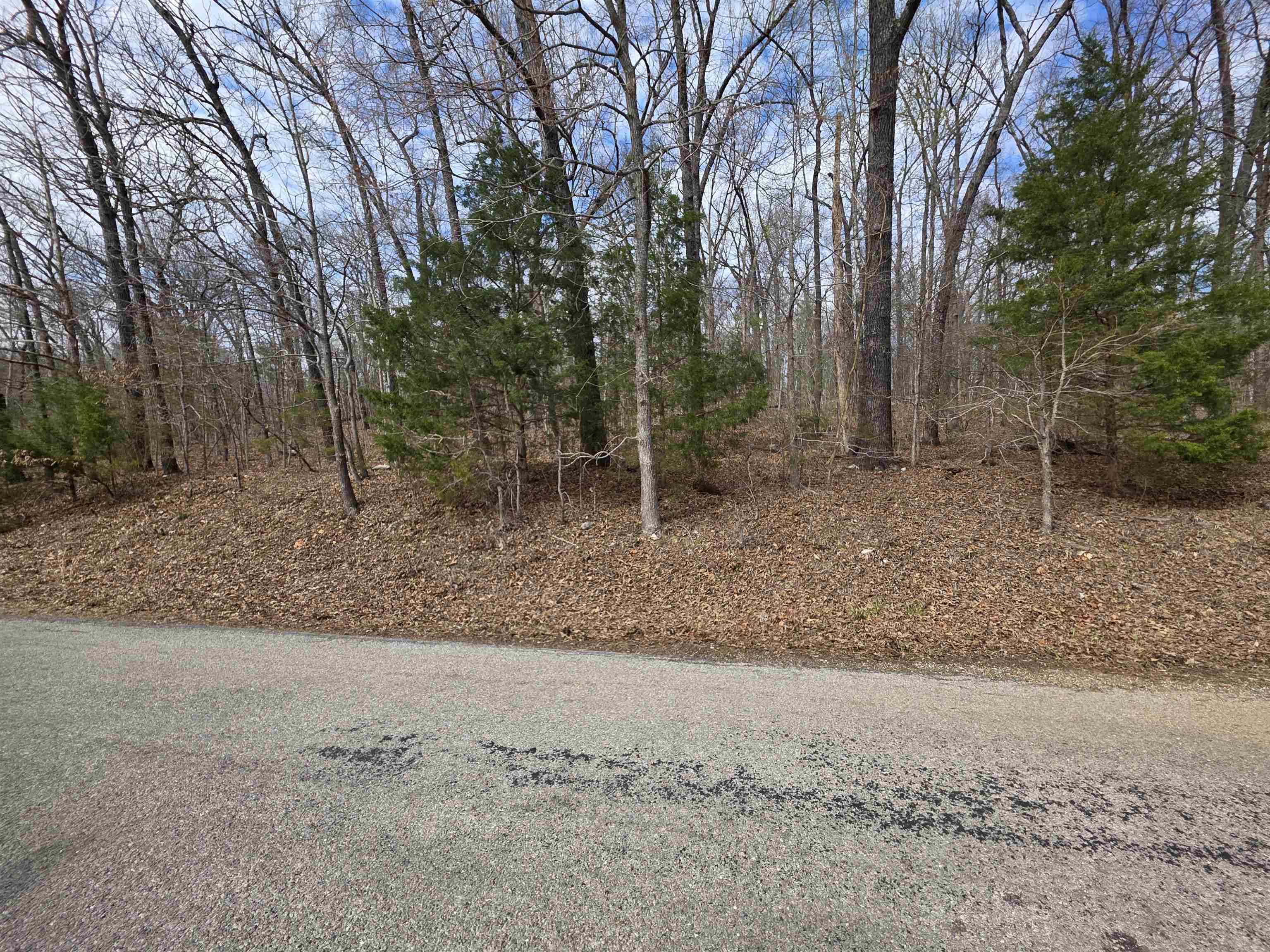 L-13 B-2 Robin Hood  Hardy, AR