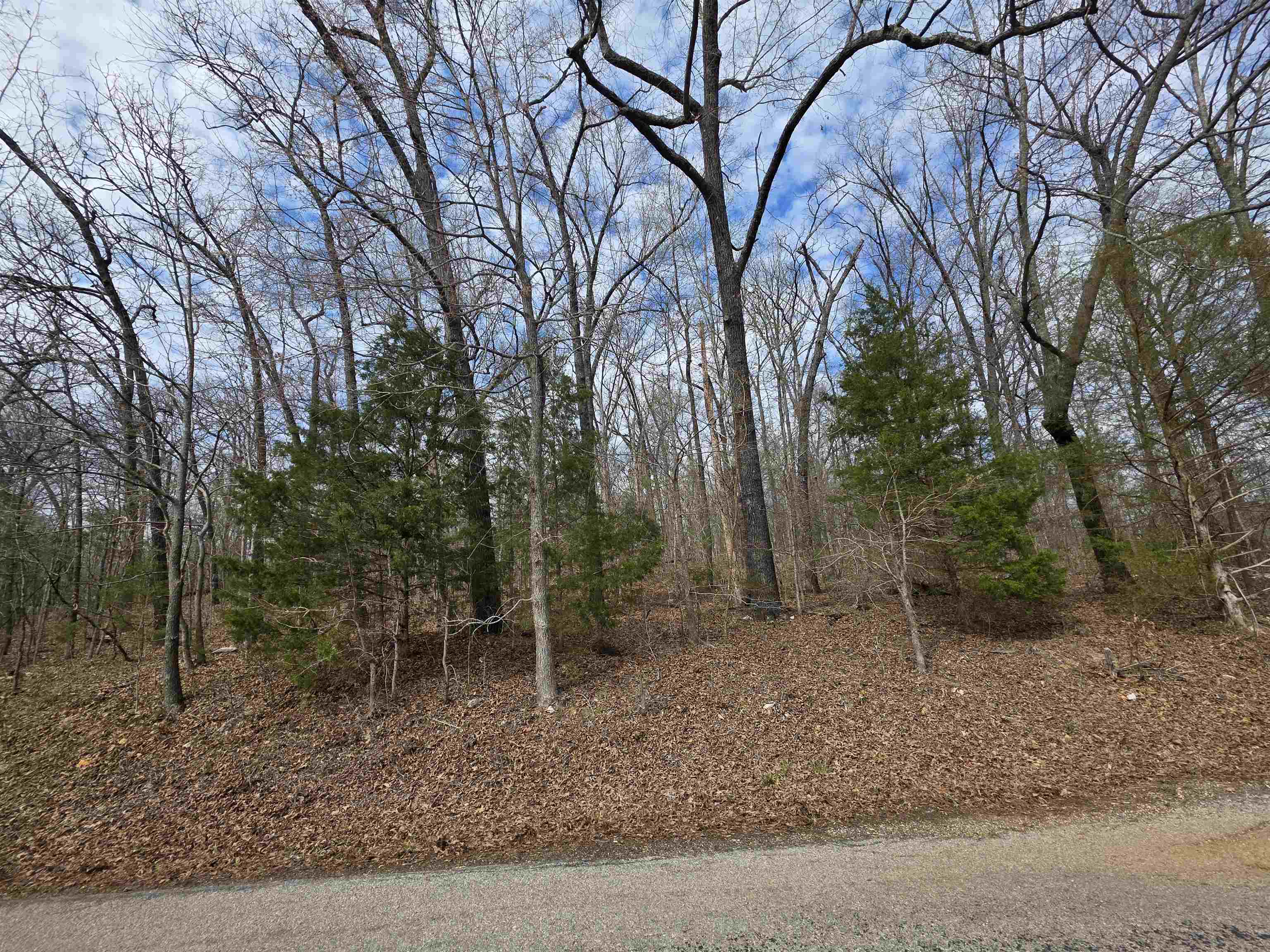 L-13 B-2 Robin Hood  Hardy, AR