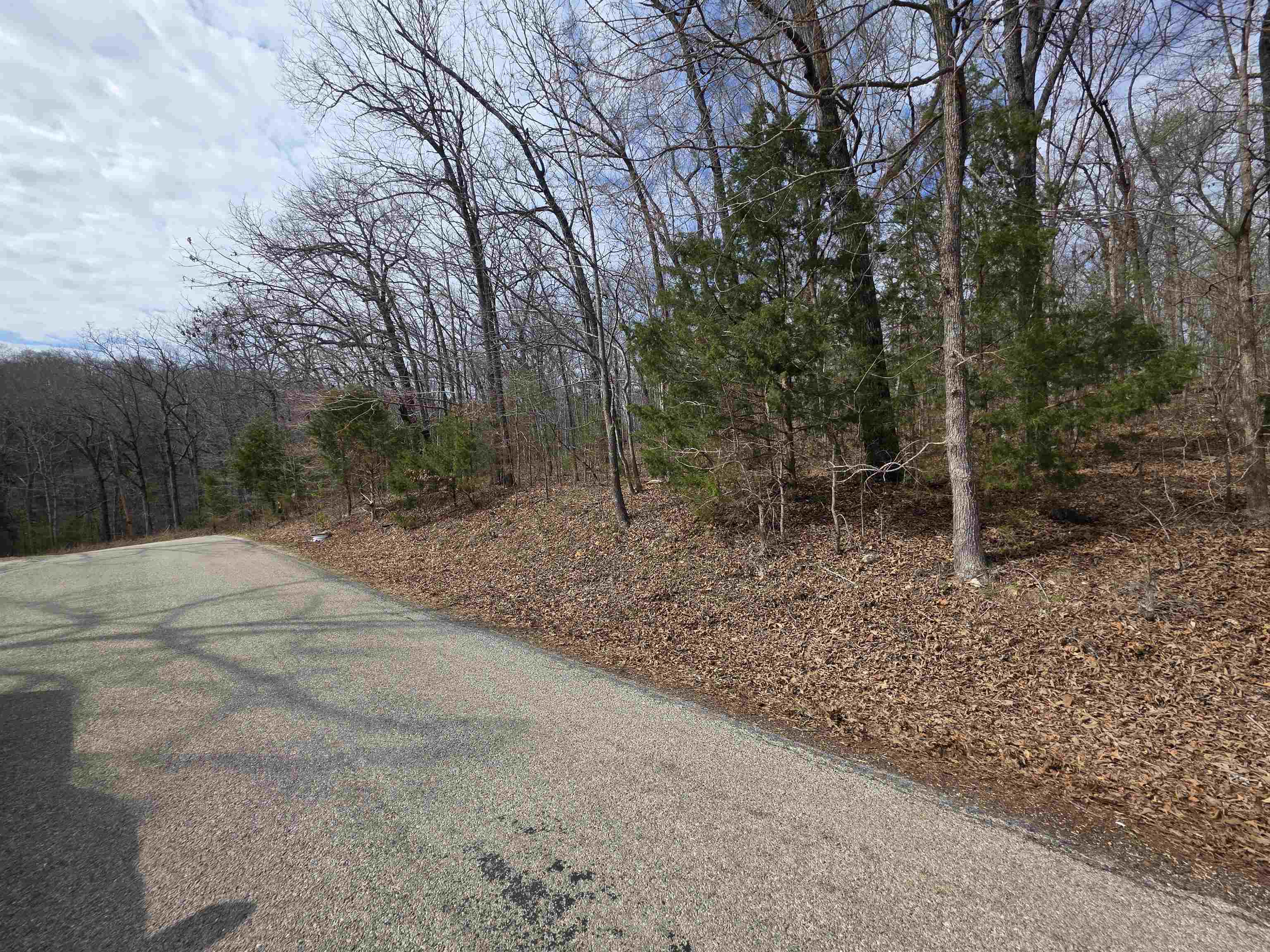 L-13 B-2 Robin Hood  Hardy, AR