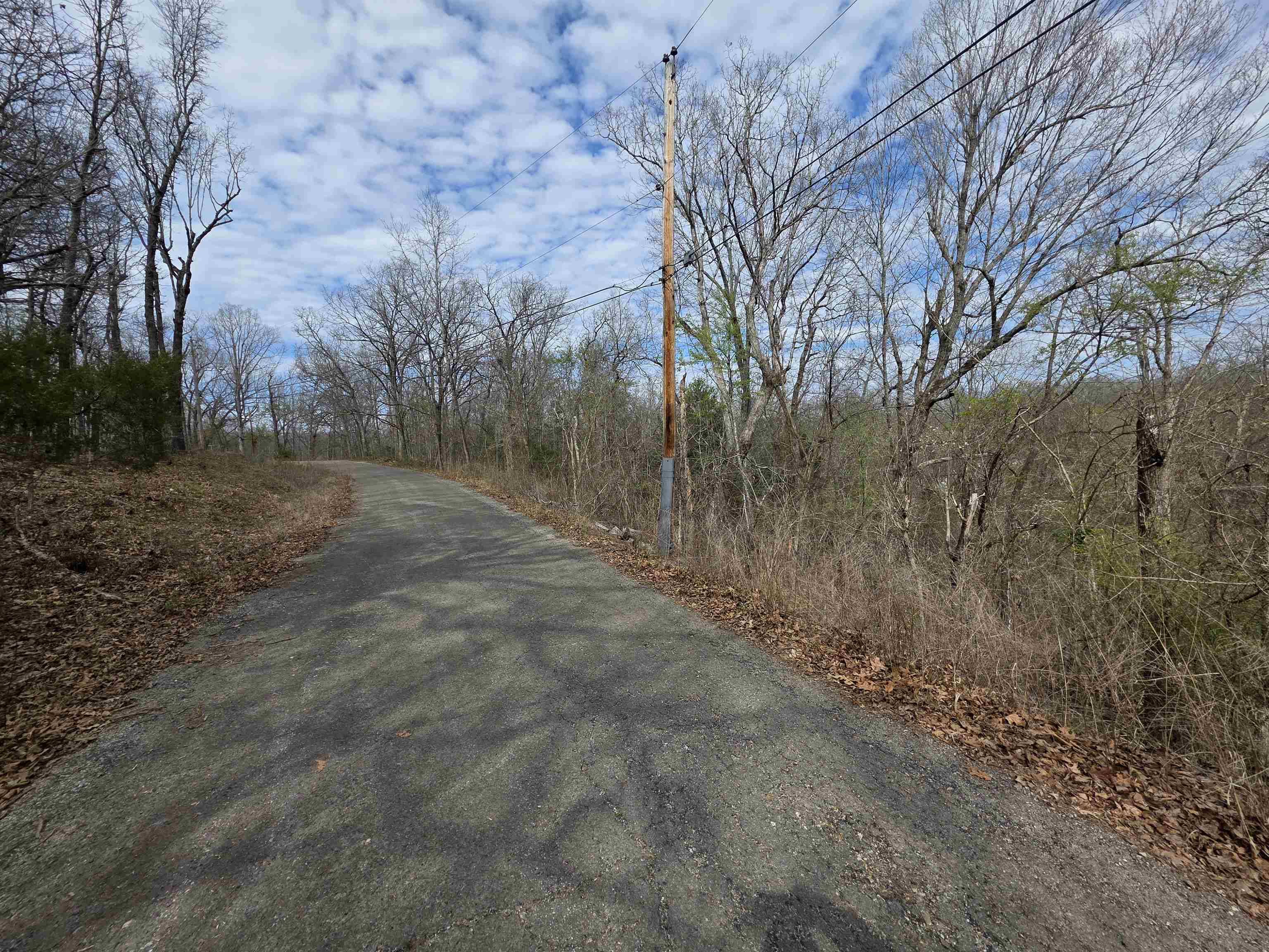 L-11, B-4 Will Scarlet  Hardy, AR