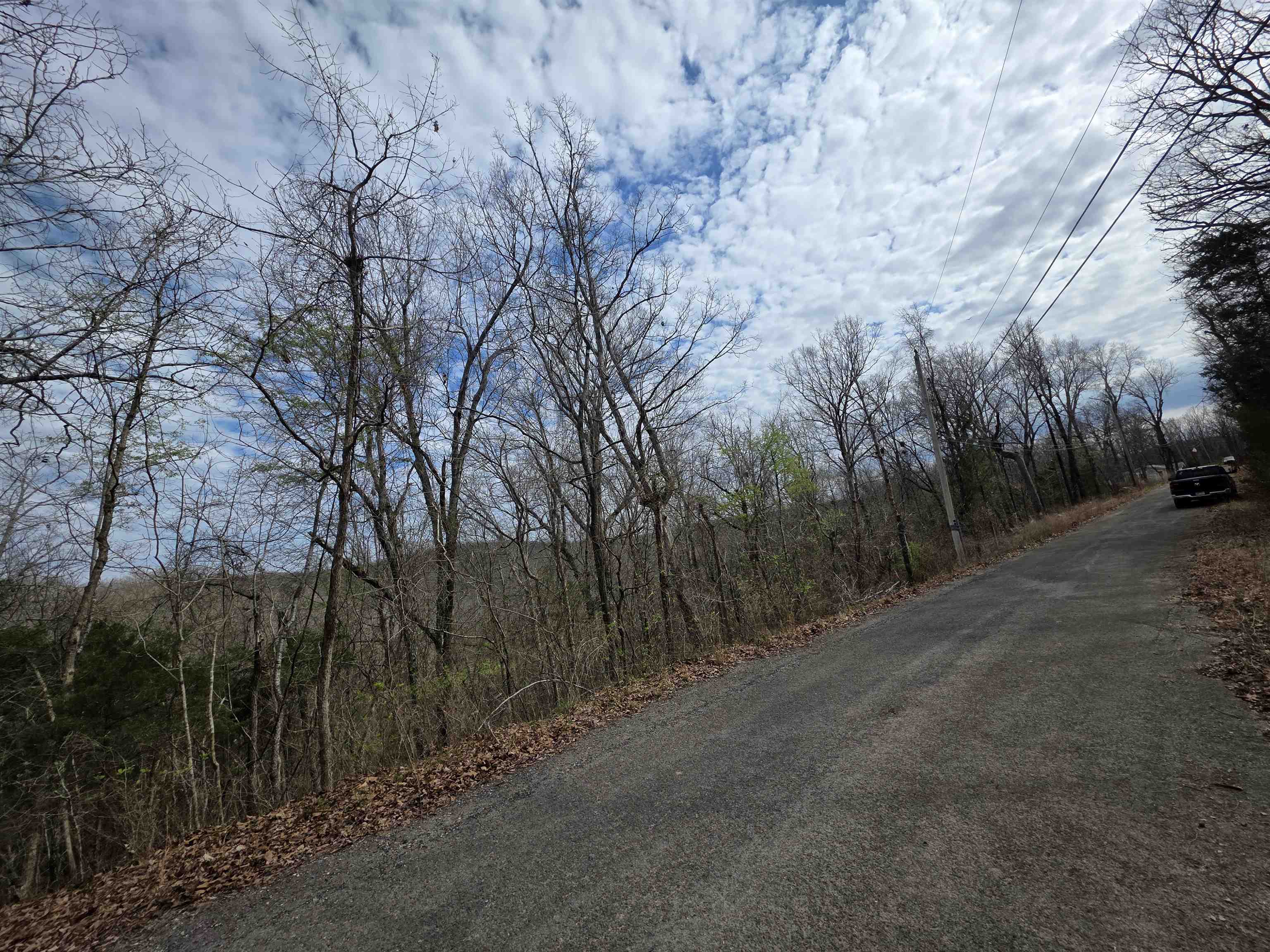 L-11, B-4 Will Scarlet  Hardy, AR