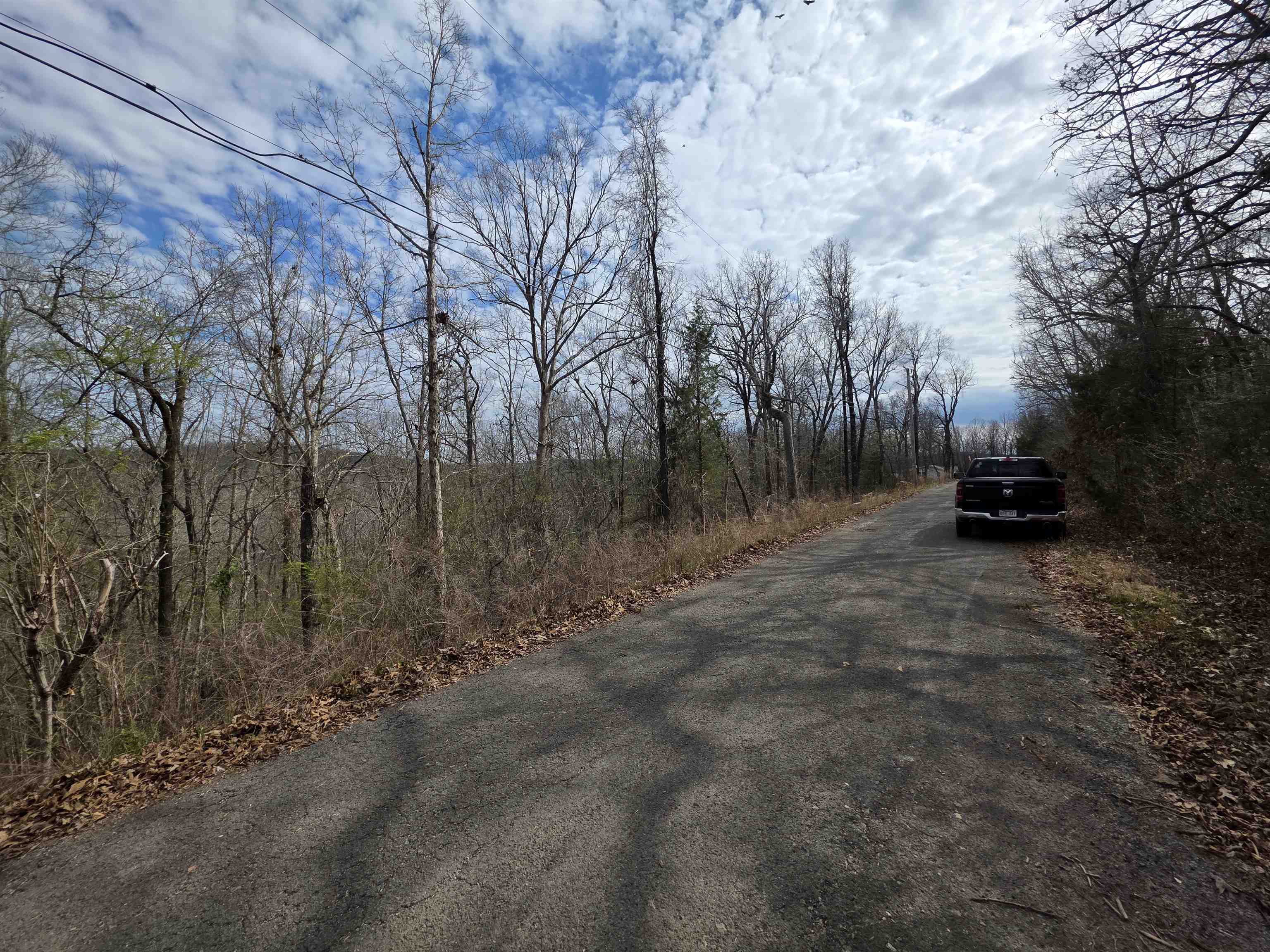 L-12 B-4 Will Scarlet  Hardy, AR