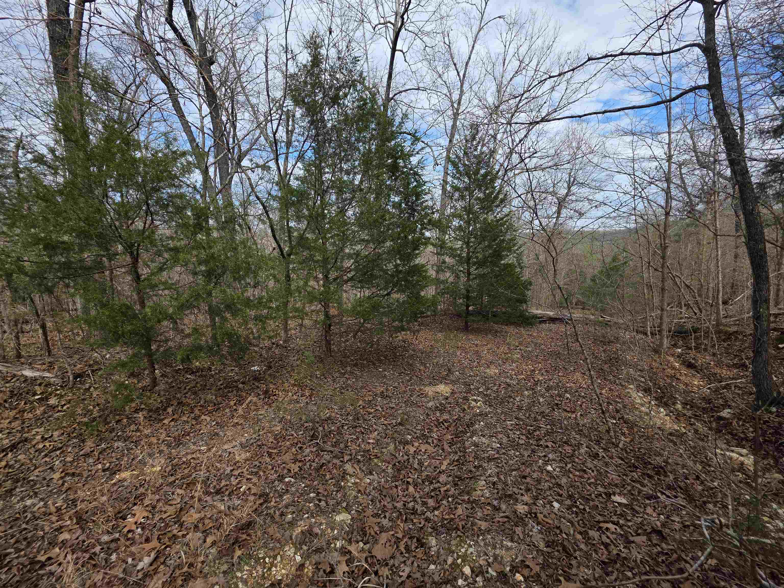 L-42 B-1 Robin Hood  Hardy, AR