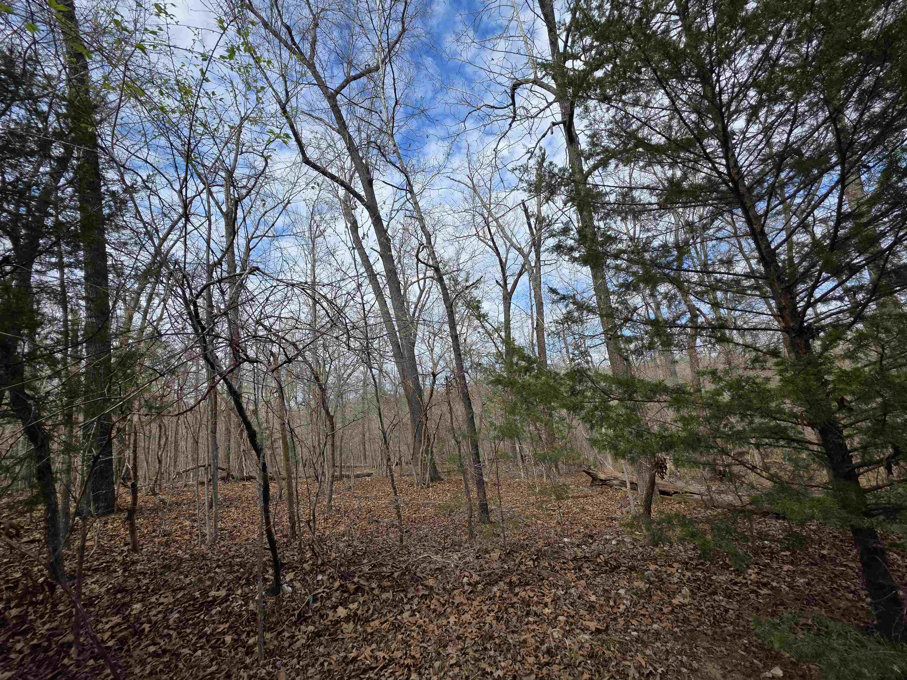 L-42 B-1 Robin Hood  Hardy, AR