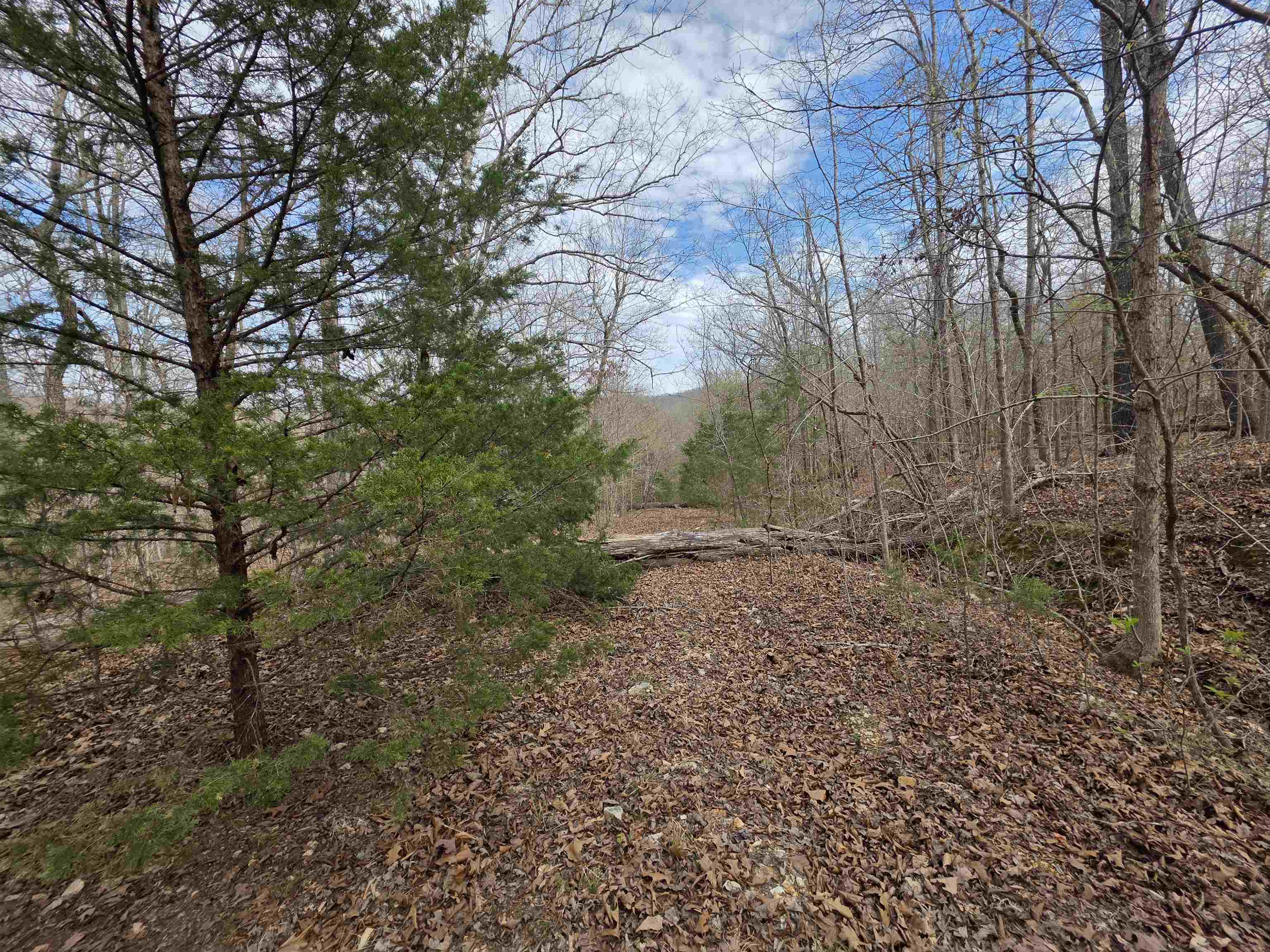 L-42 B-1 Robin Hood  Hardy, AR