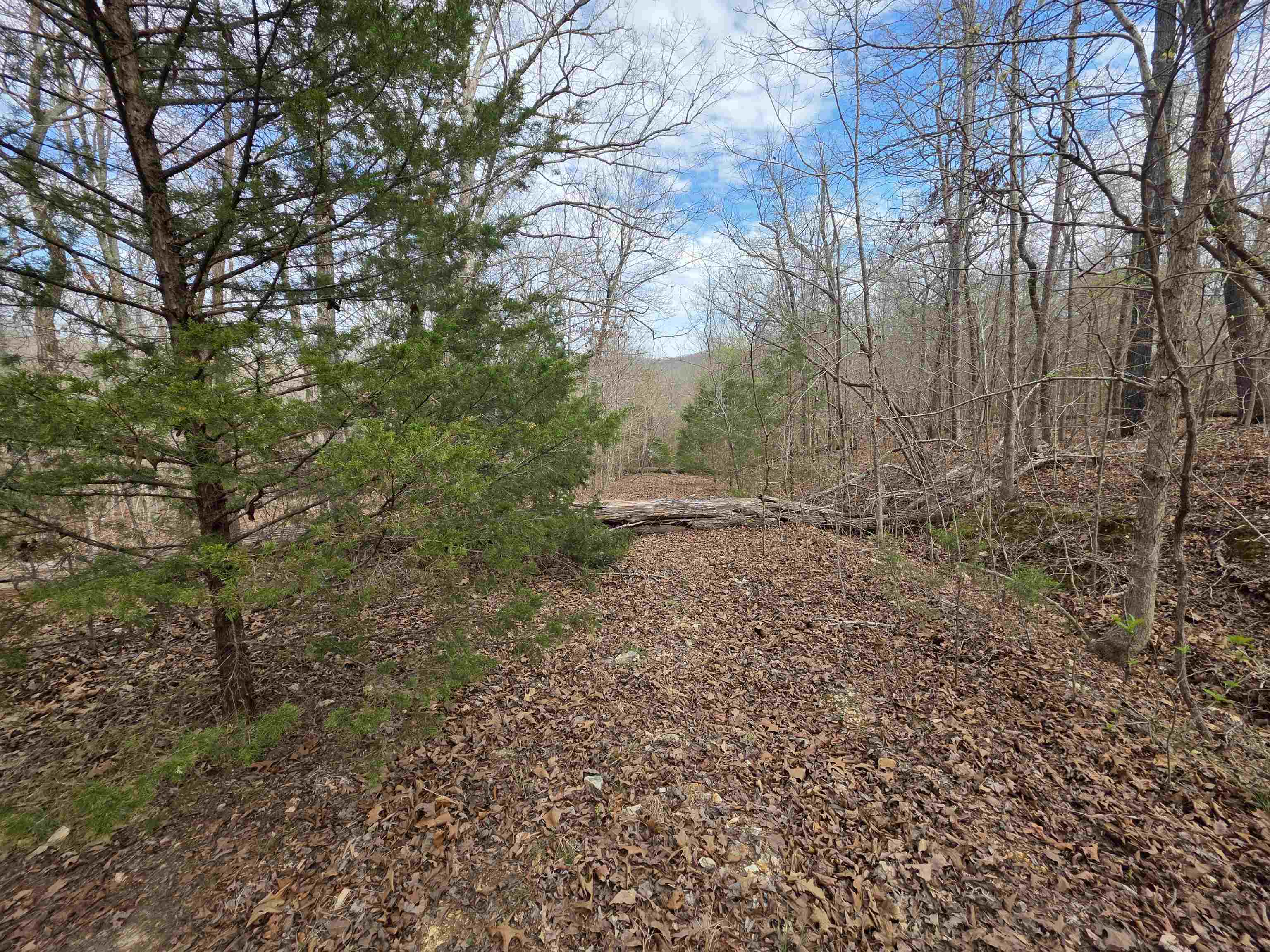 L-42 B-1 Robin Hood  Hardy, AR