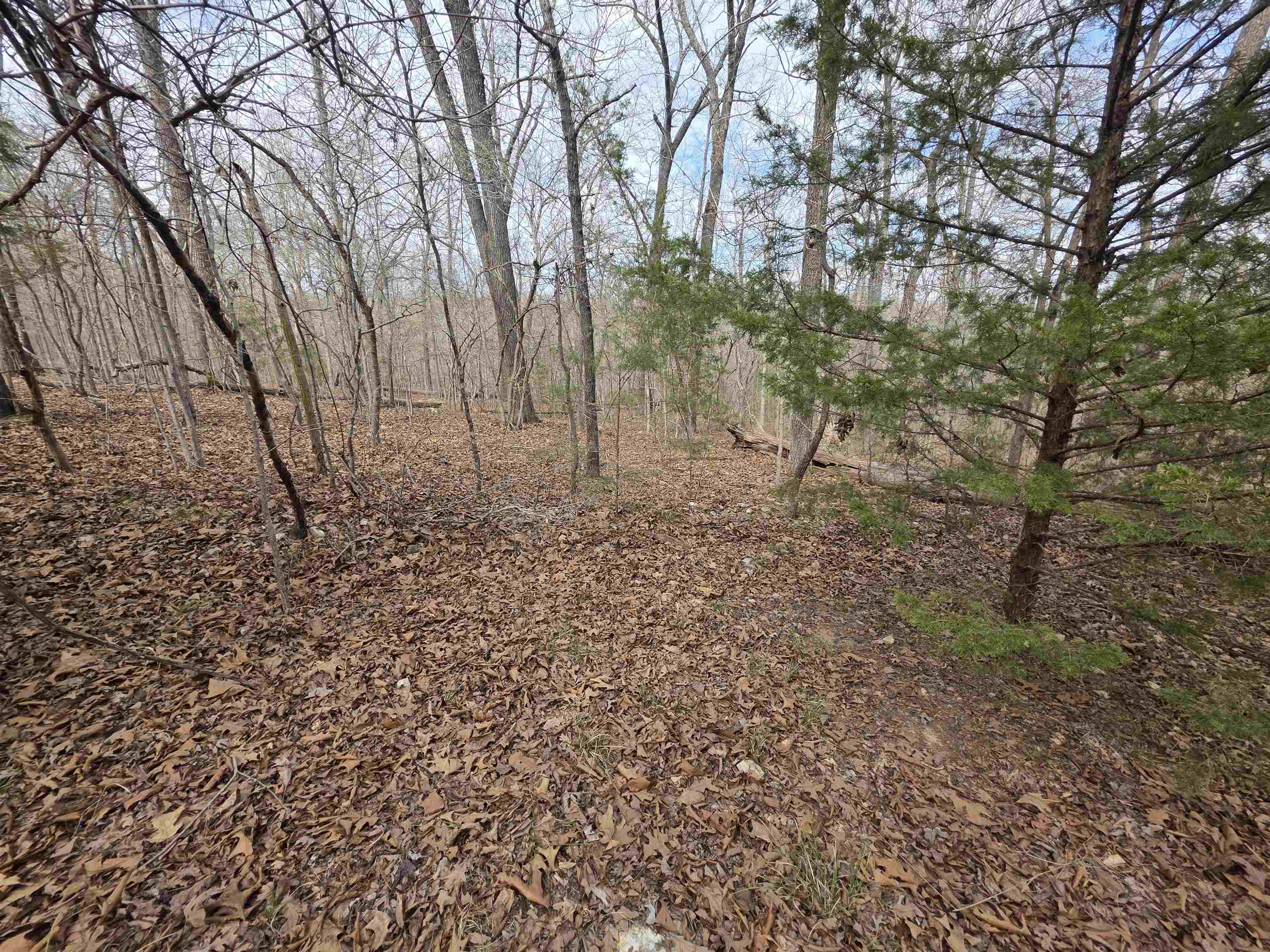 L-42 B-1 Robin Hood  Hardy, AR