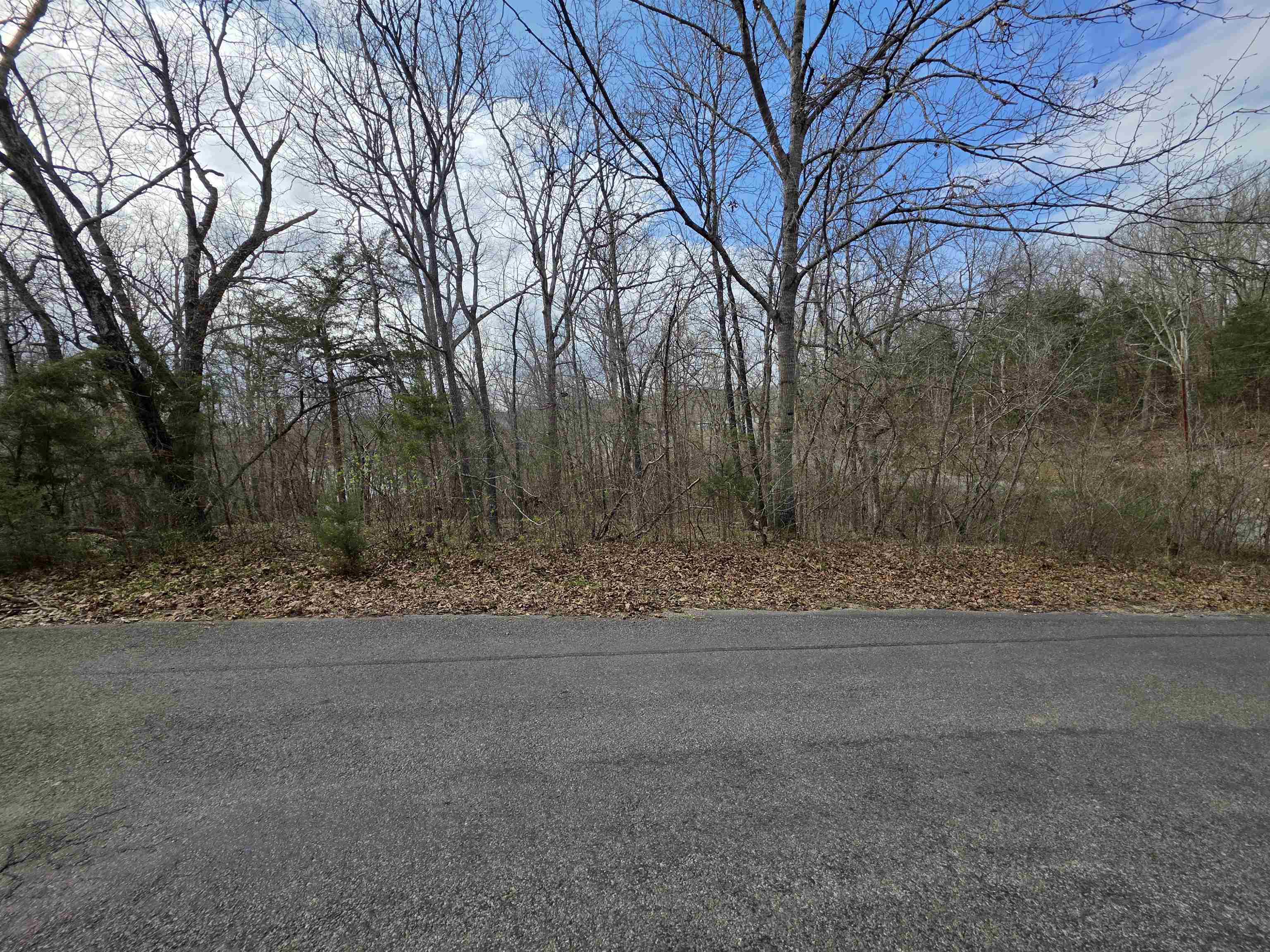 L-25 B-1 Woodland Hills  Hardy, AR