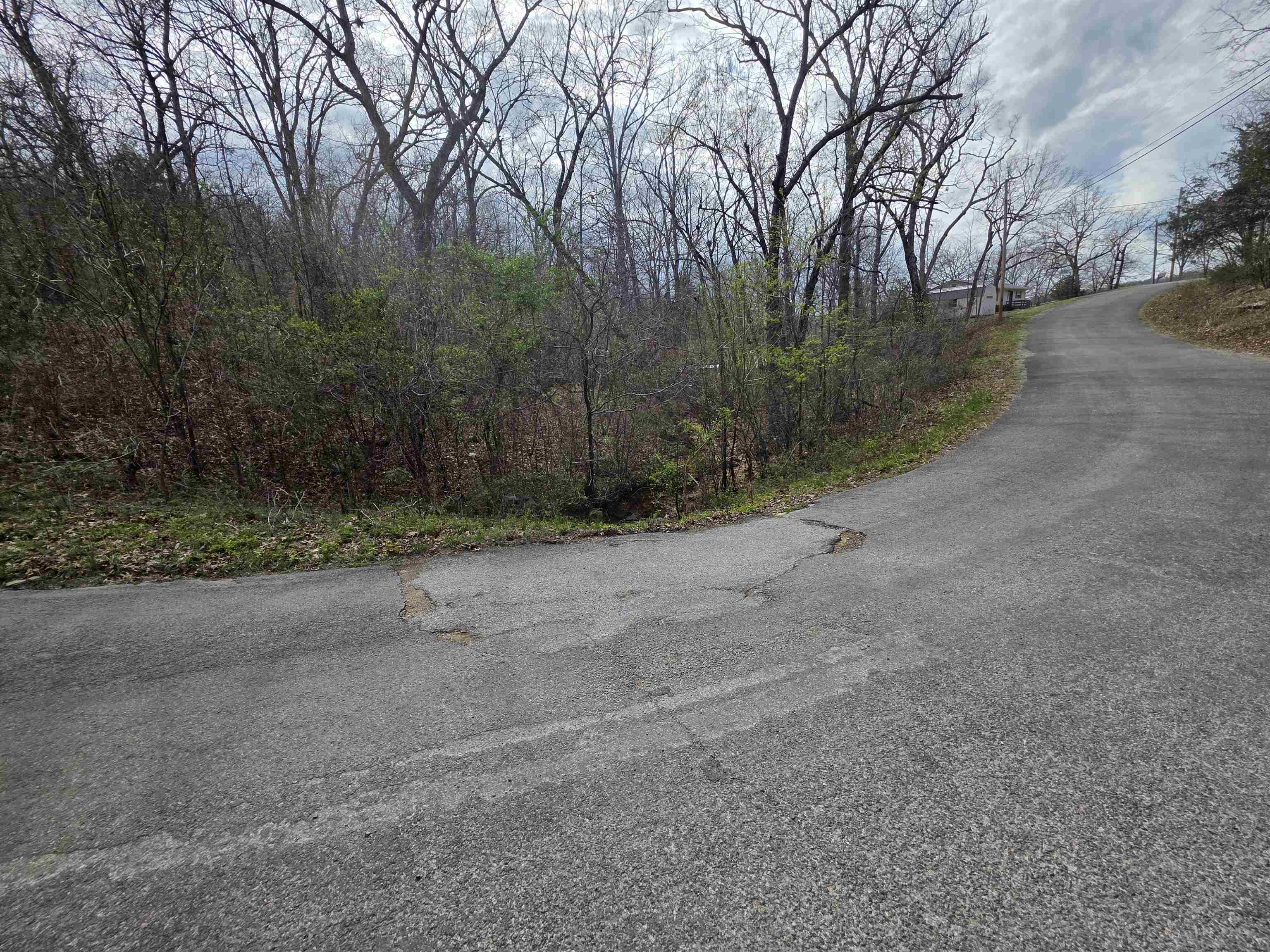 L-25 B-1 Woodland Hills  Hardy, AR