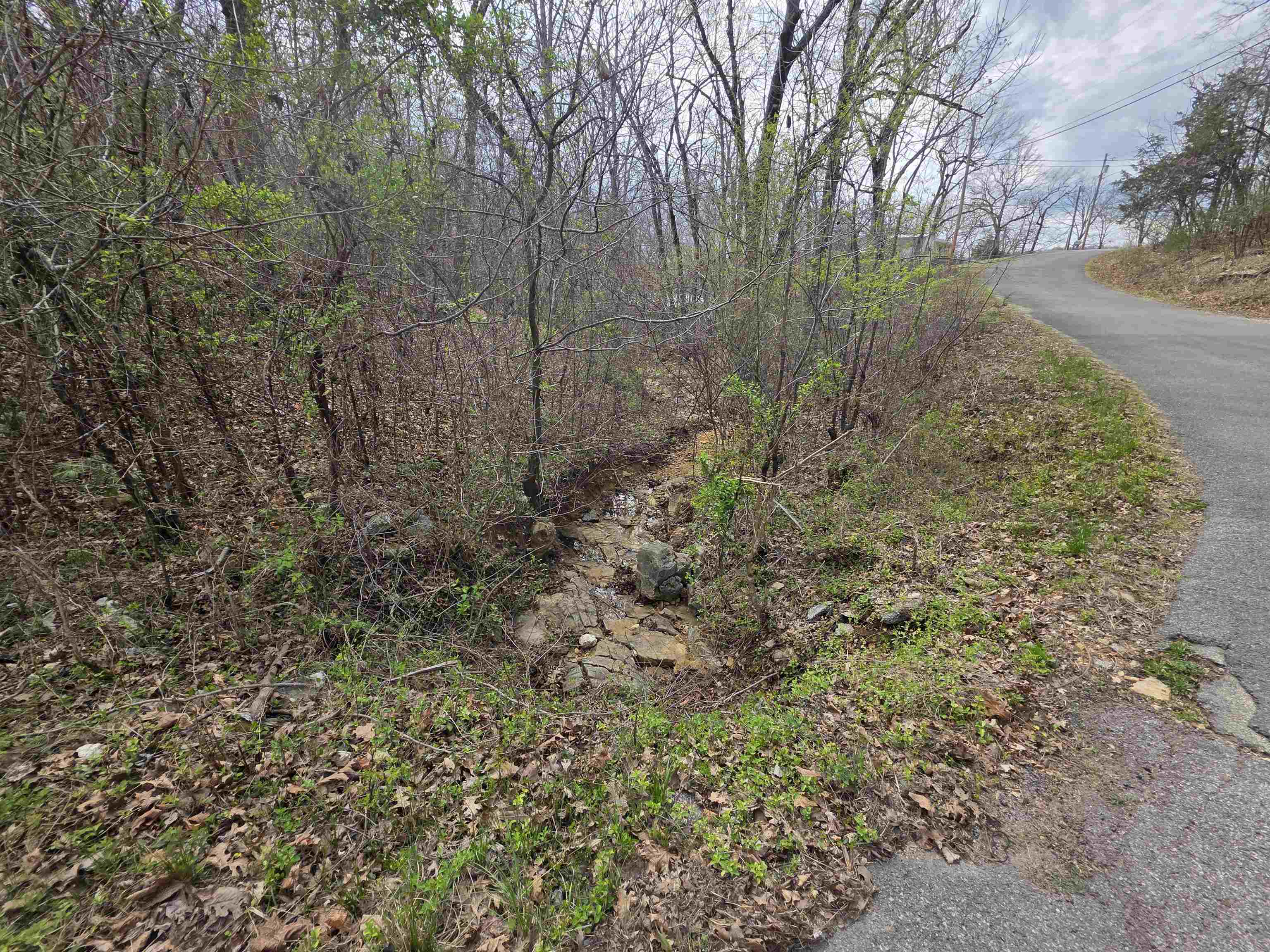 L-25 B-1 Woodland Hills  Hardy, AR