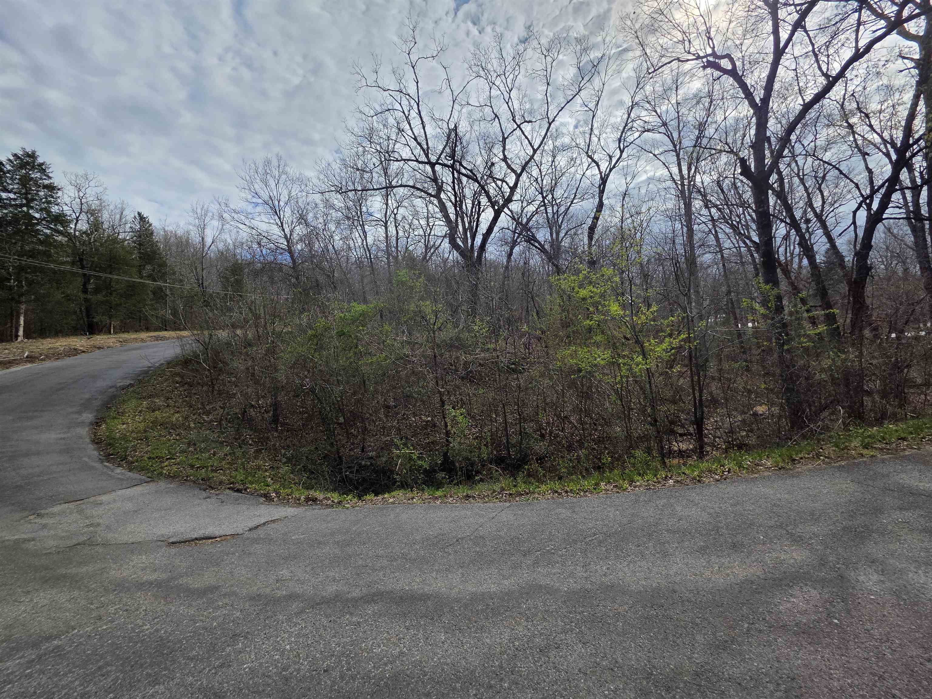 L-25 B-1 Woodland Hills  Hardy, AR