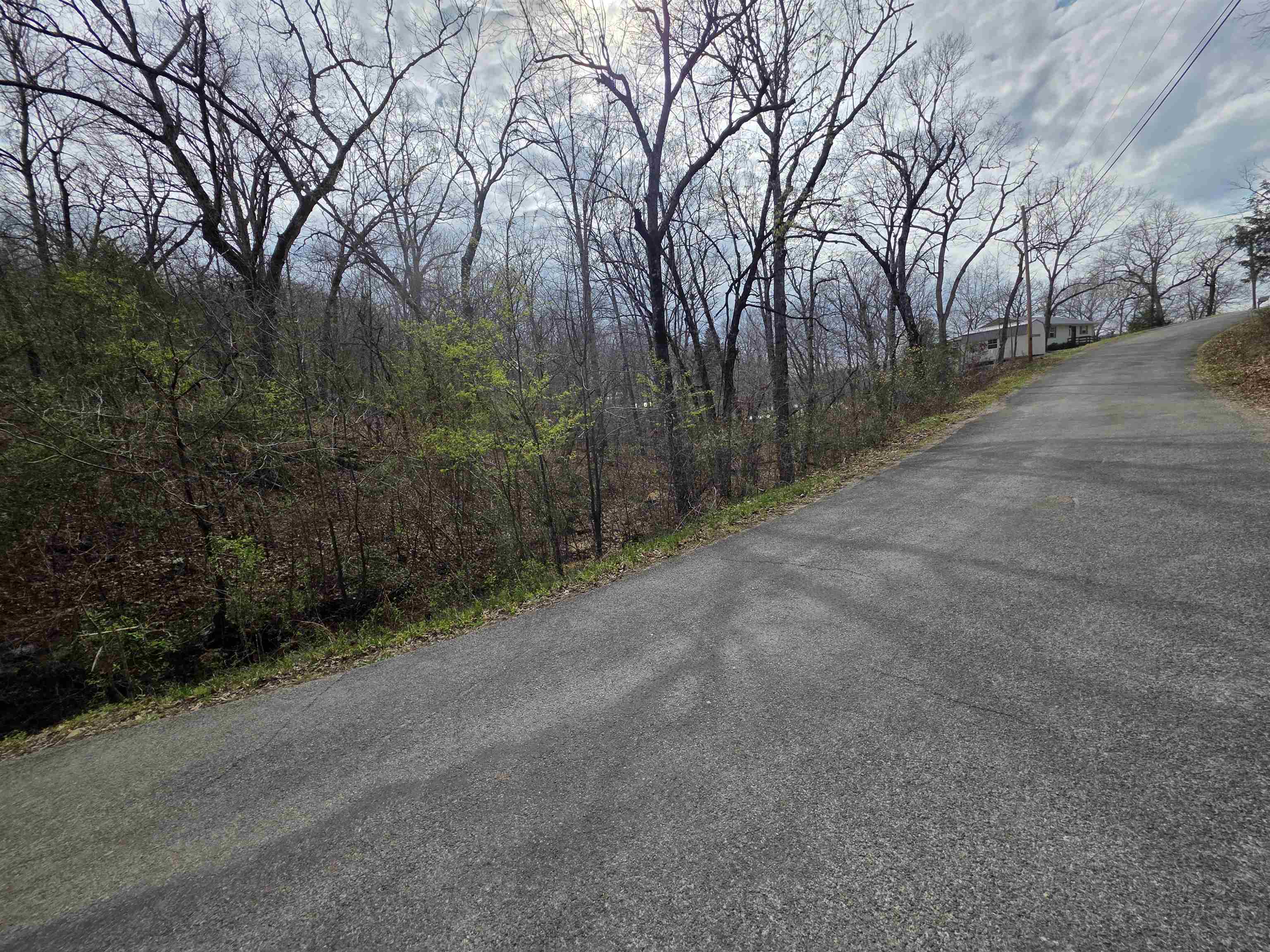 L-25 B-1 Woodland Hills  Hardy, AR