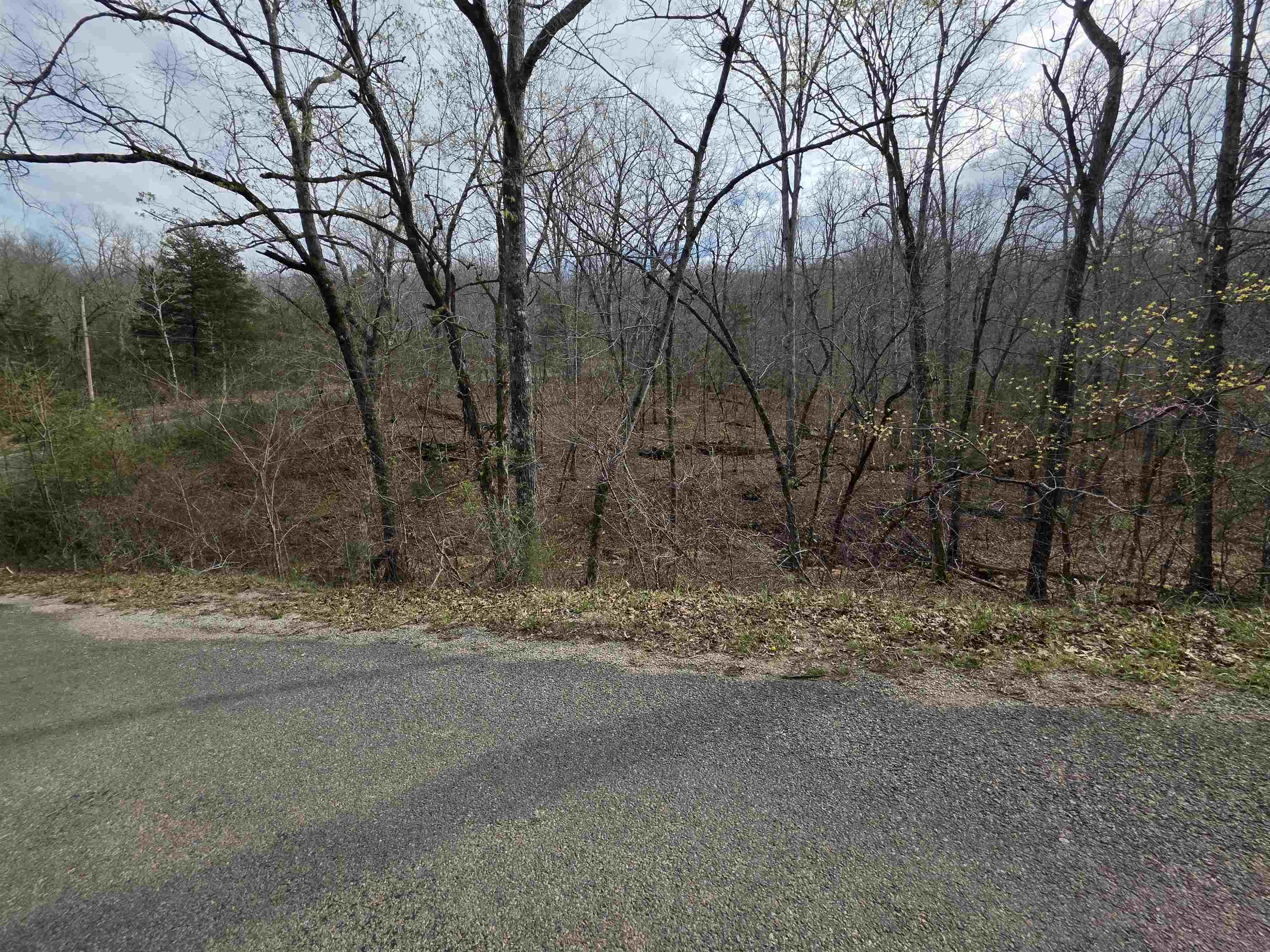 L-25 B-1 Woodland Hills  Hardy, AR