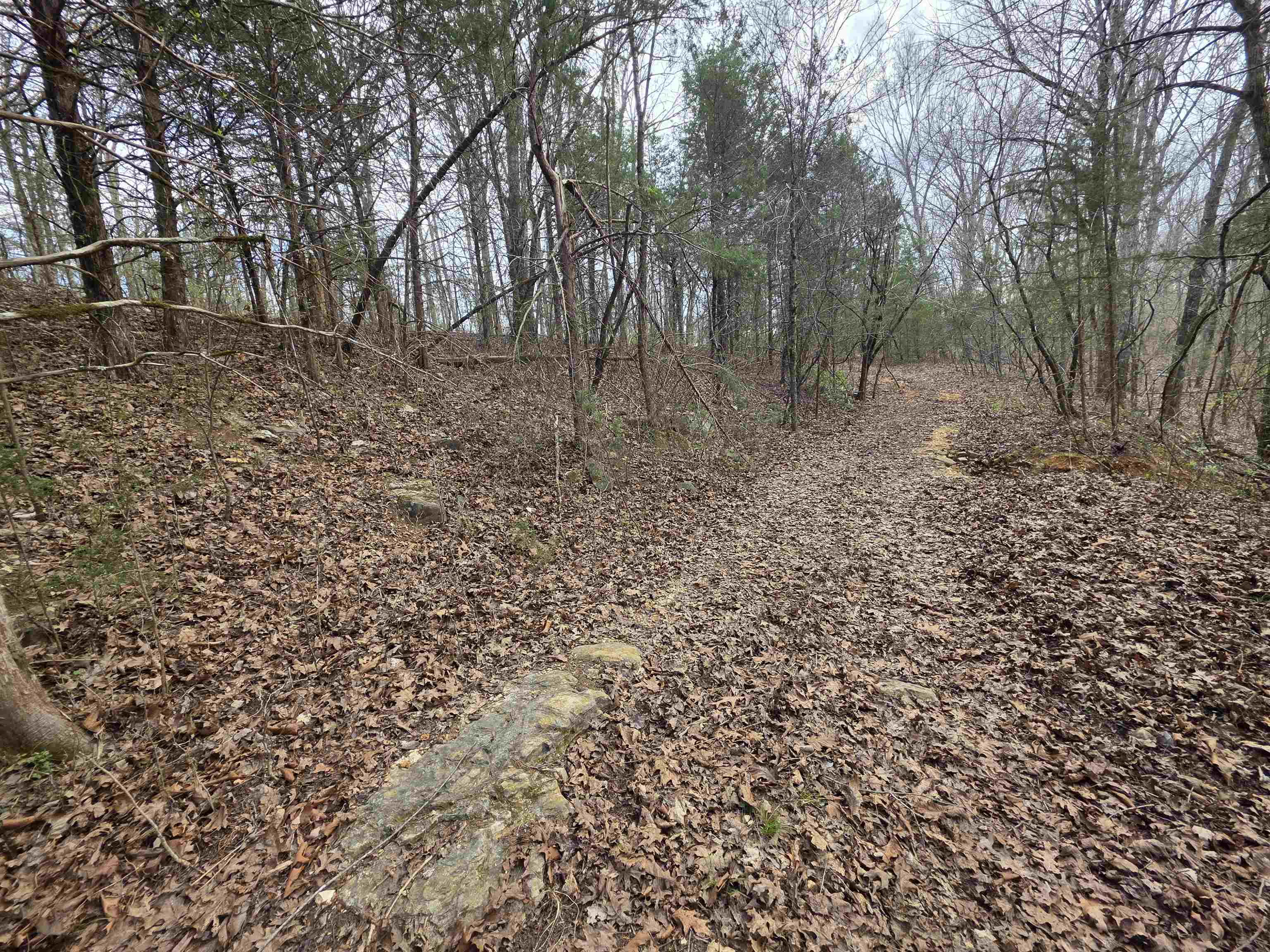 L-24 B-7 Steves  Hardy, AR