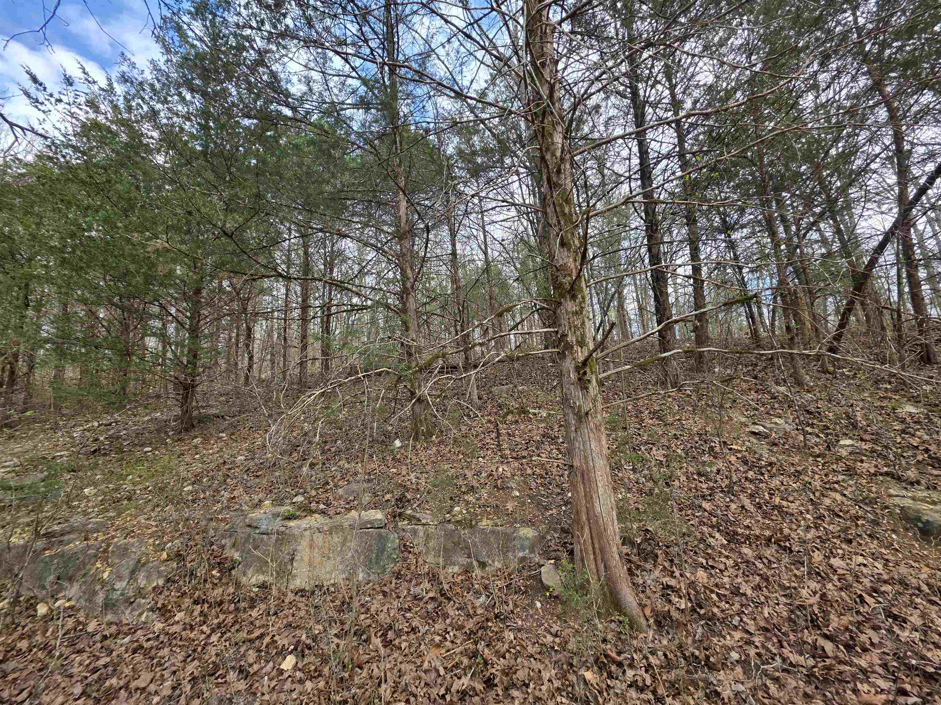 L-24 B-7 Steves  Hardy, AR