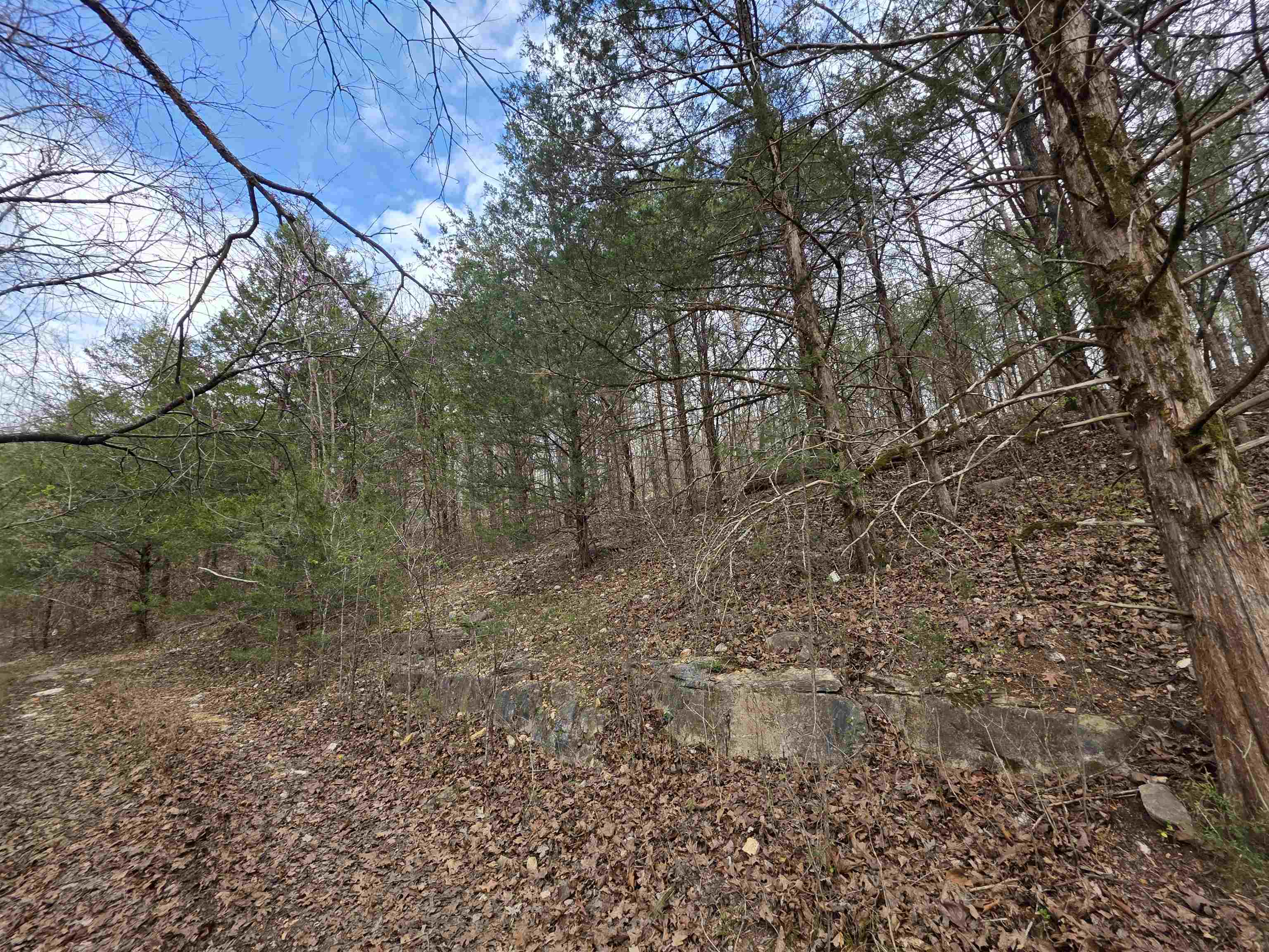 L-24 B-7 Steves  Hardy, AR