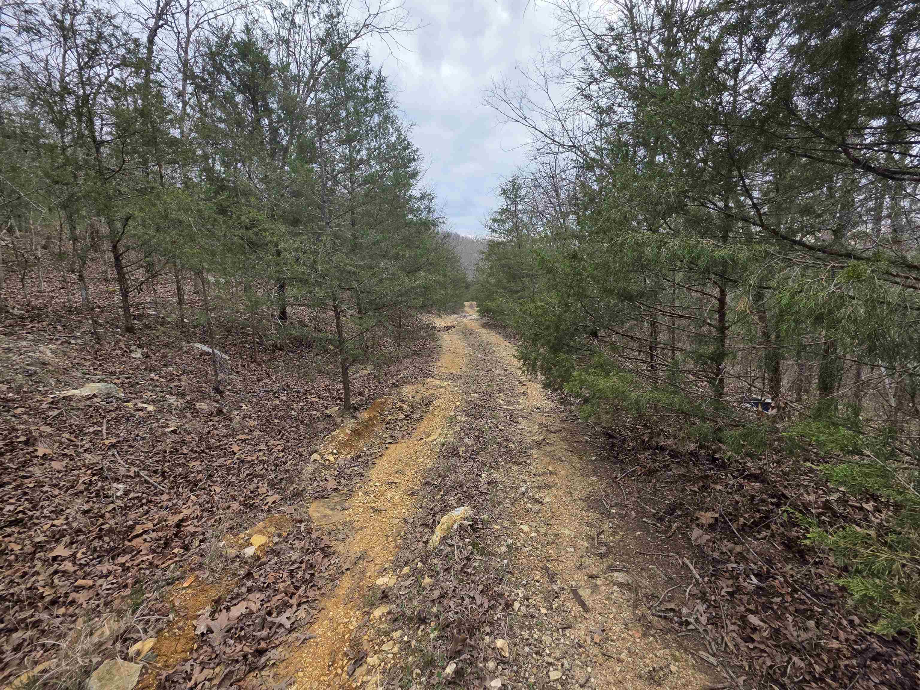 L-24 B-5 Tom Lee  Hardy, AR