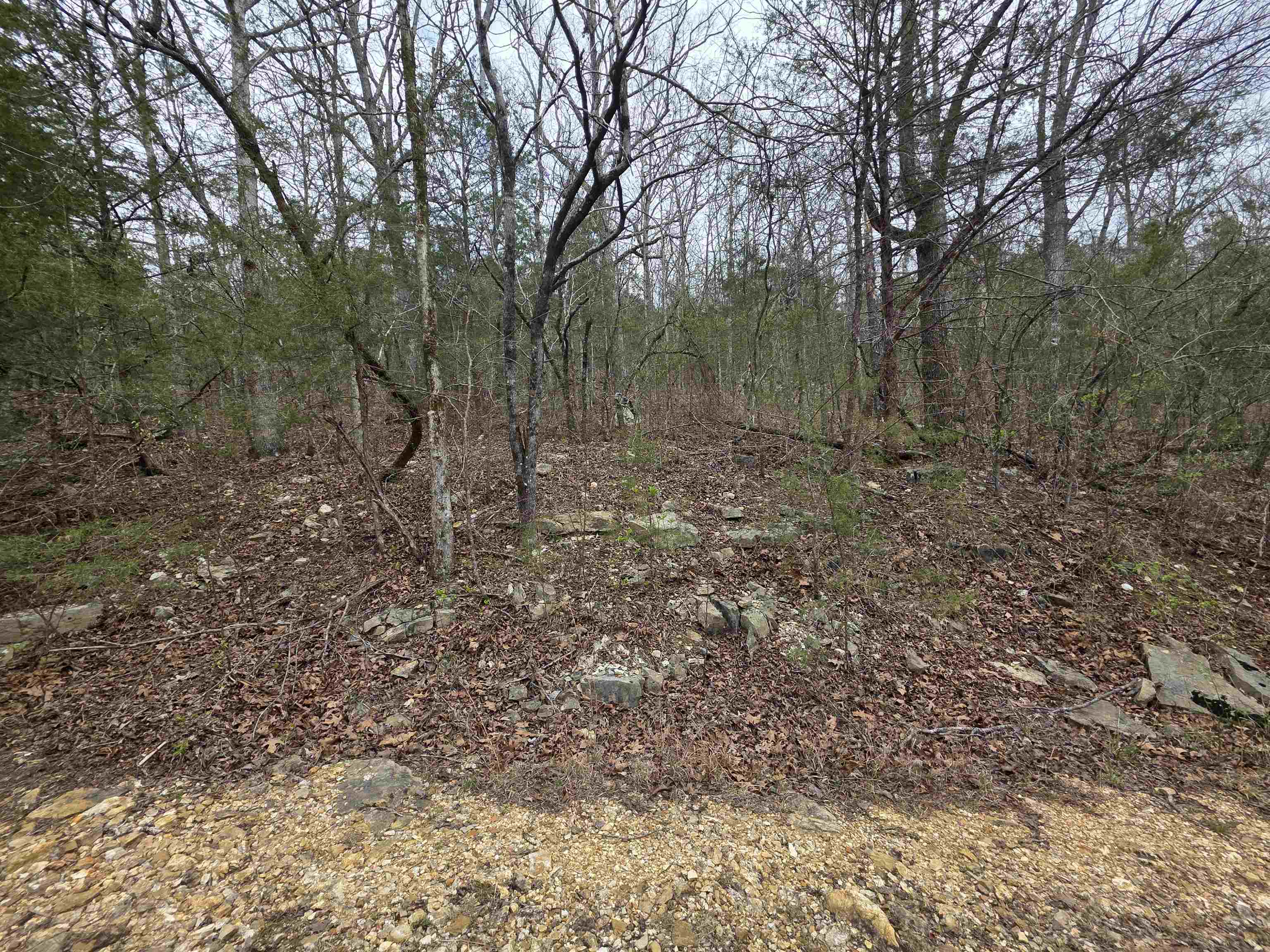 L-24 B-5 Tom Lee  Hardy, AR