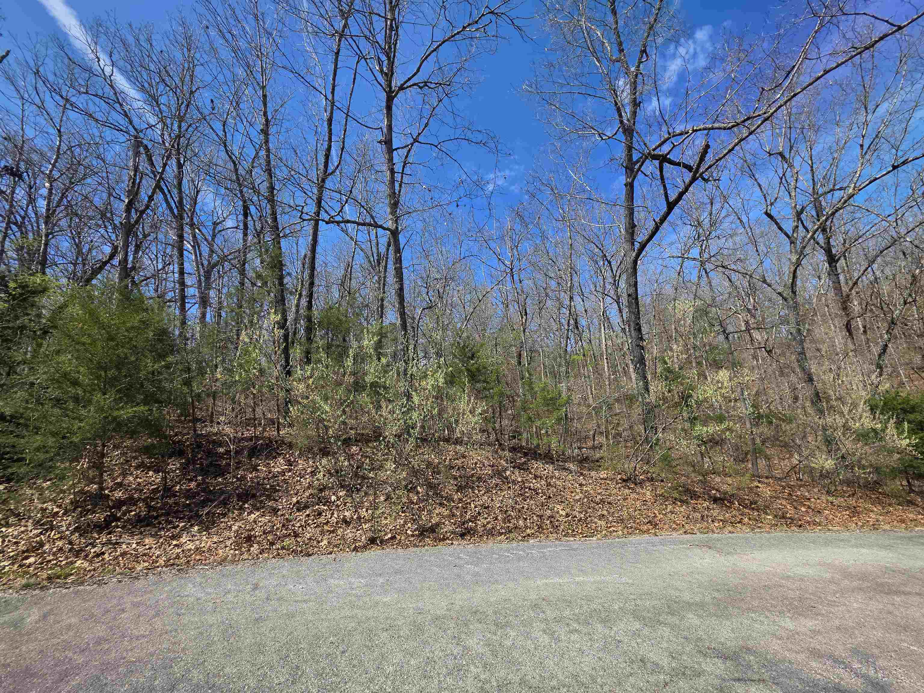 L-61 B-10 Oklahoma  Cherokee Village, AR