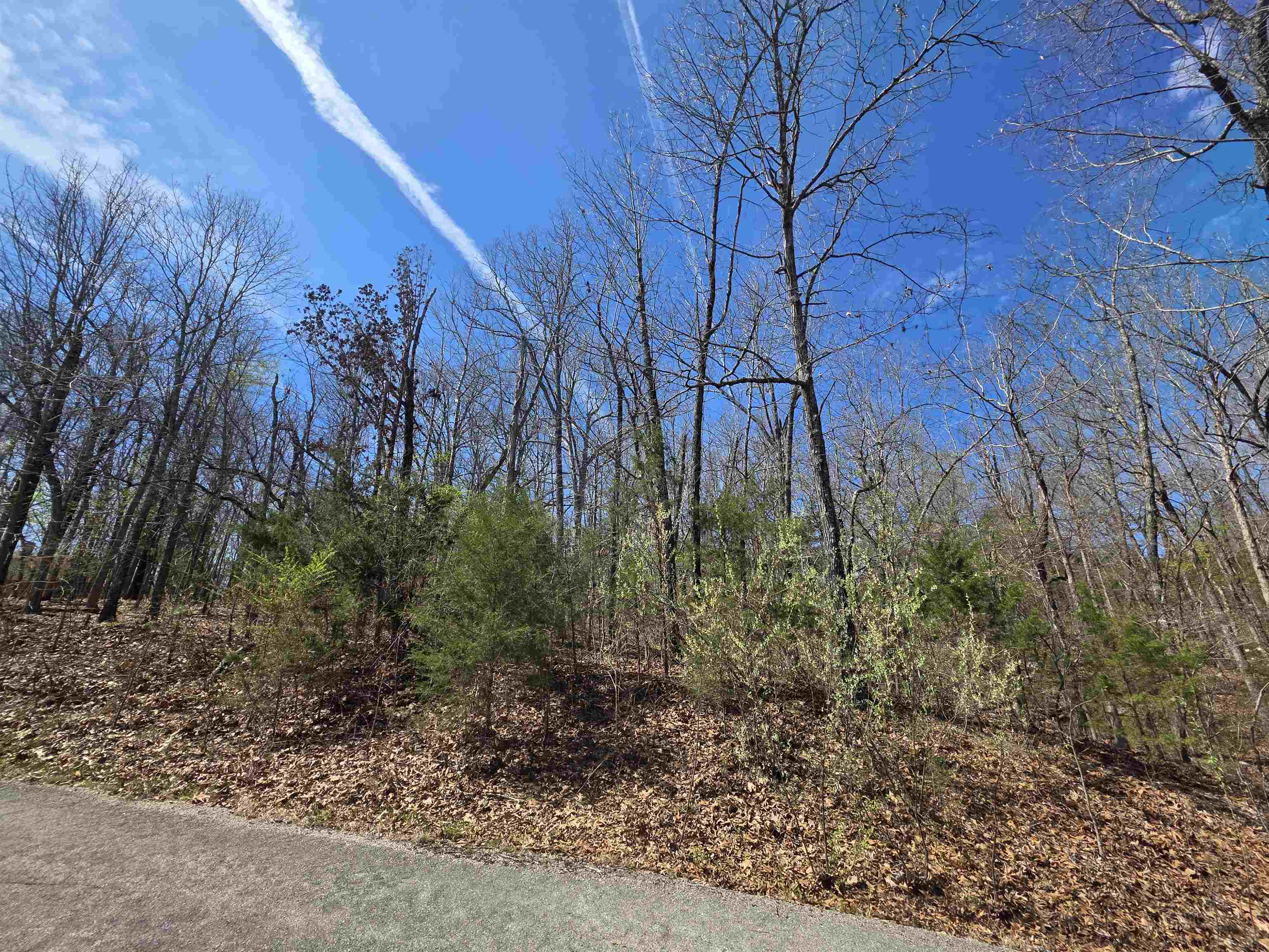 L-61 B-10 Oklahoma  Cherokee Village, AR