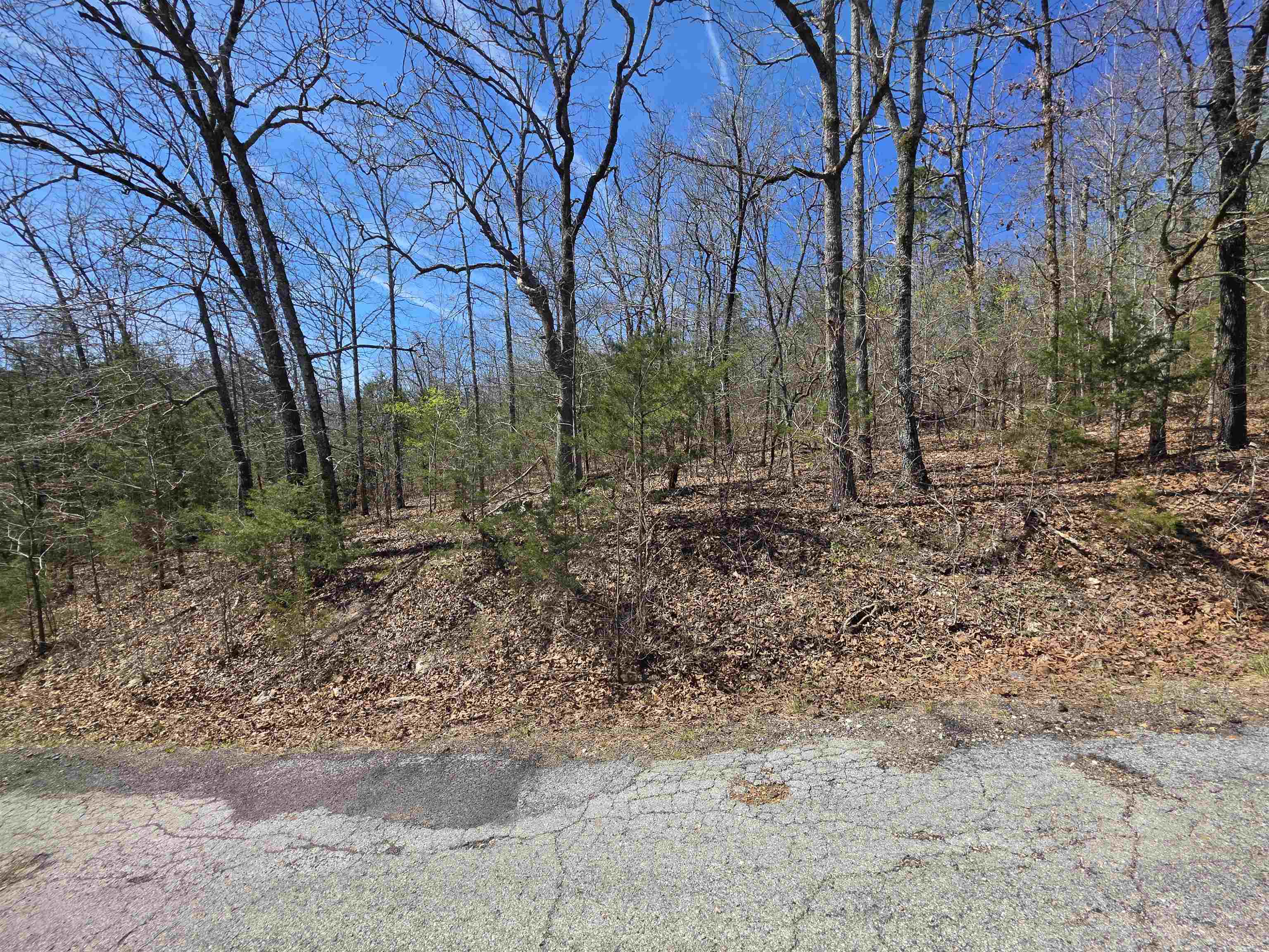 L-39 B-10 Iroquois  Cherokee Village, AR