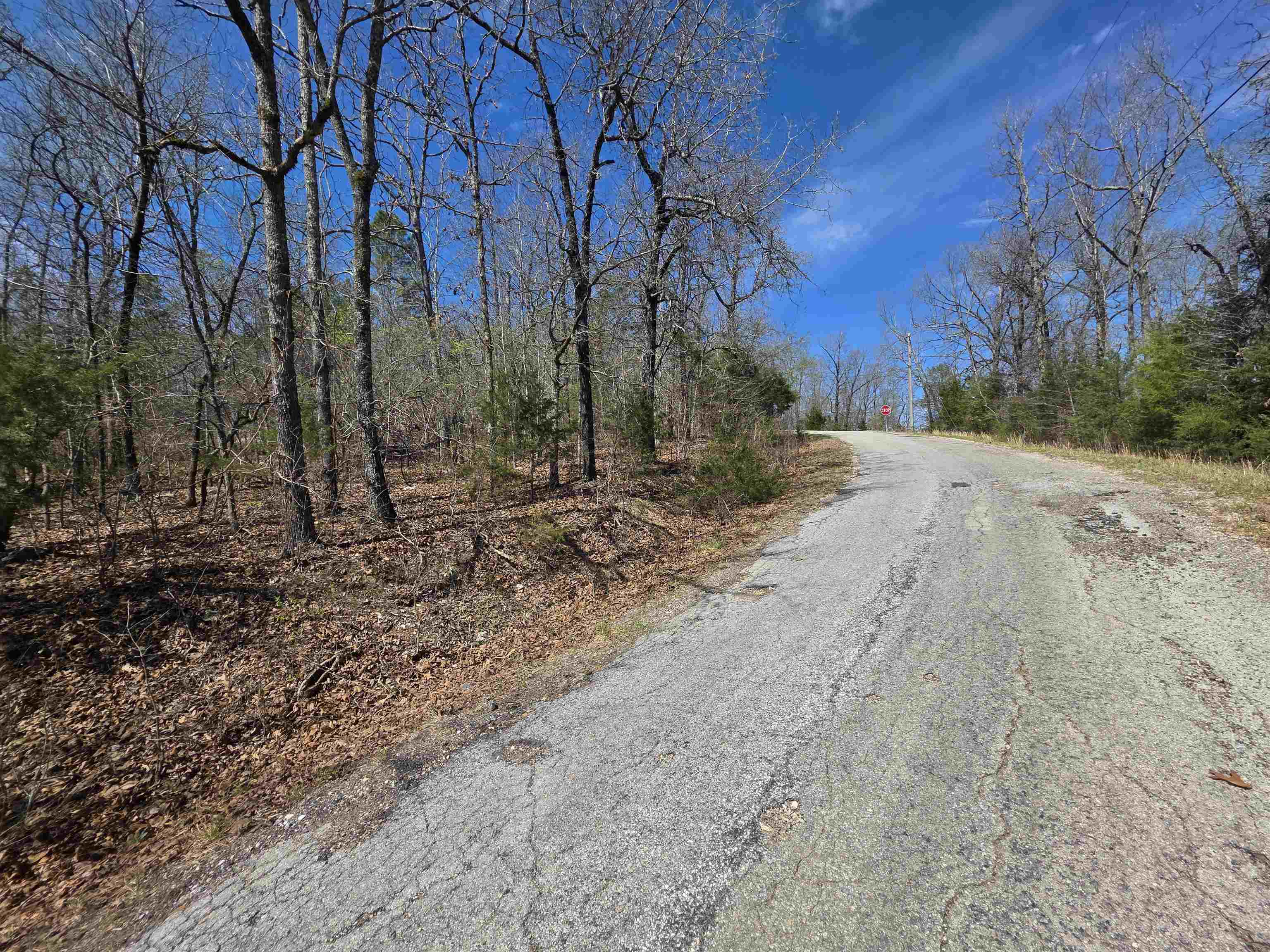 L-39 B-10 Iroquois  Cherokee Village, AR