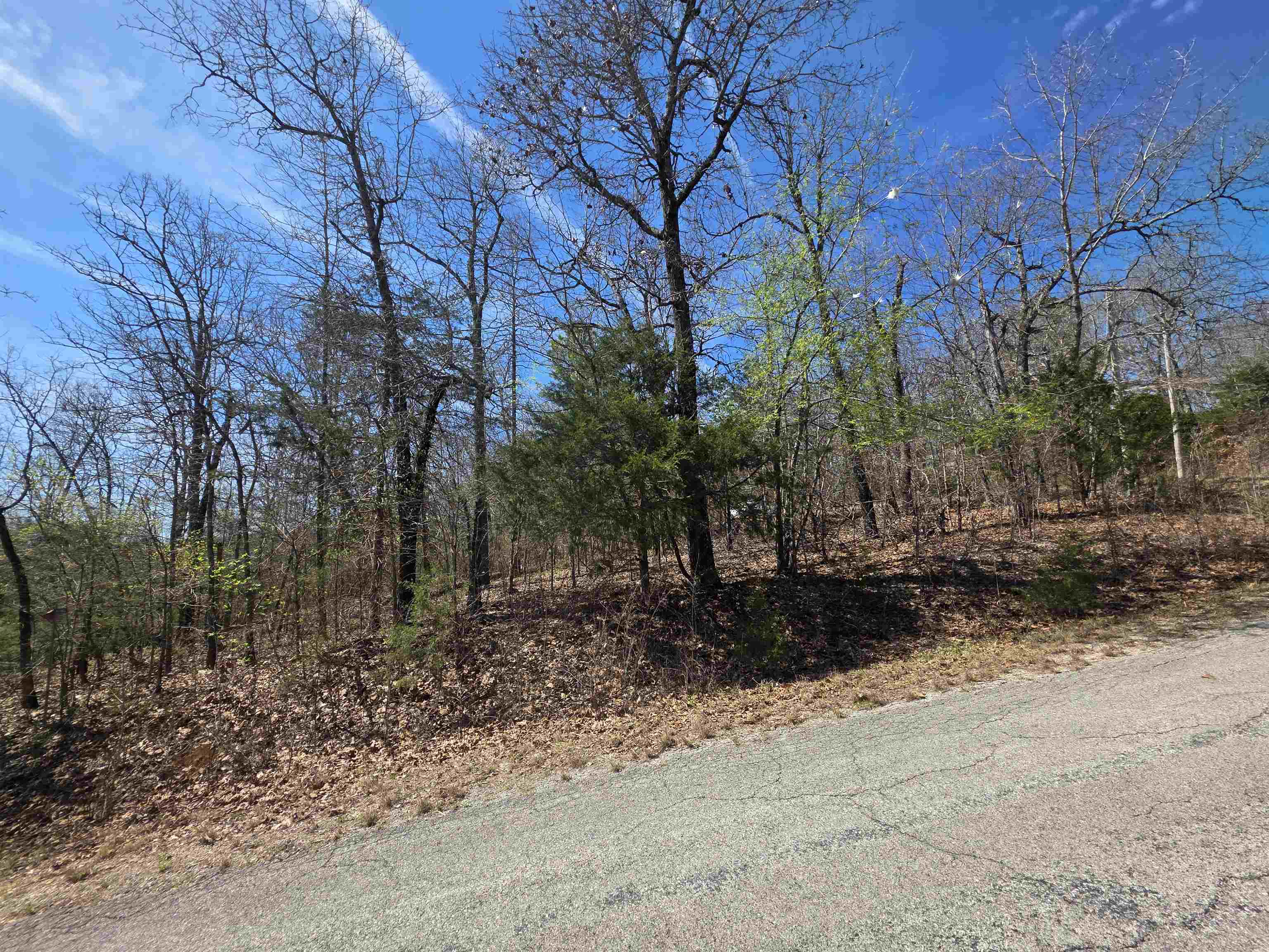 L-39 B-10 Iroquois  Cherokee Village, AR