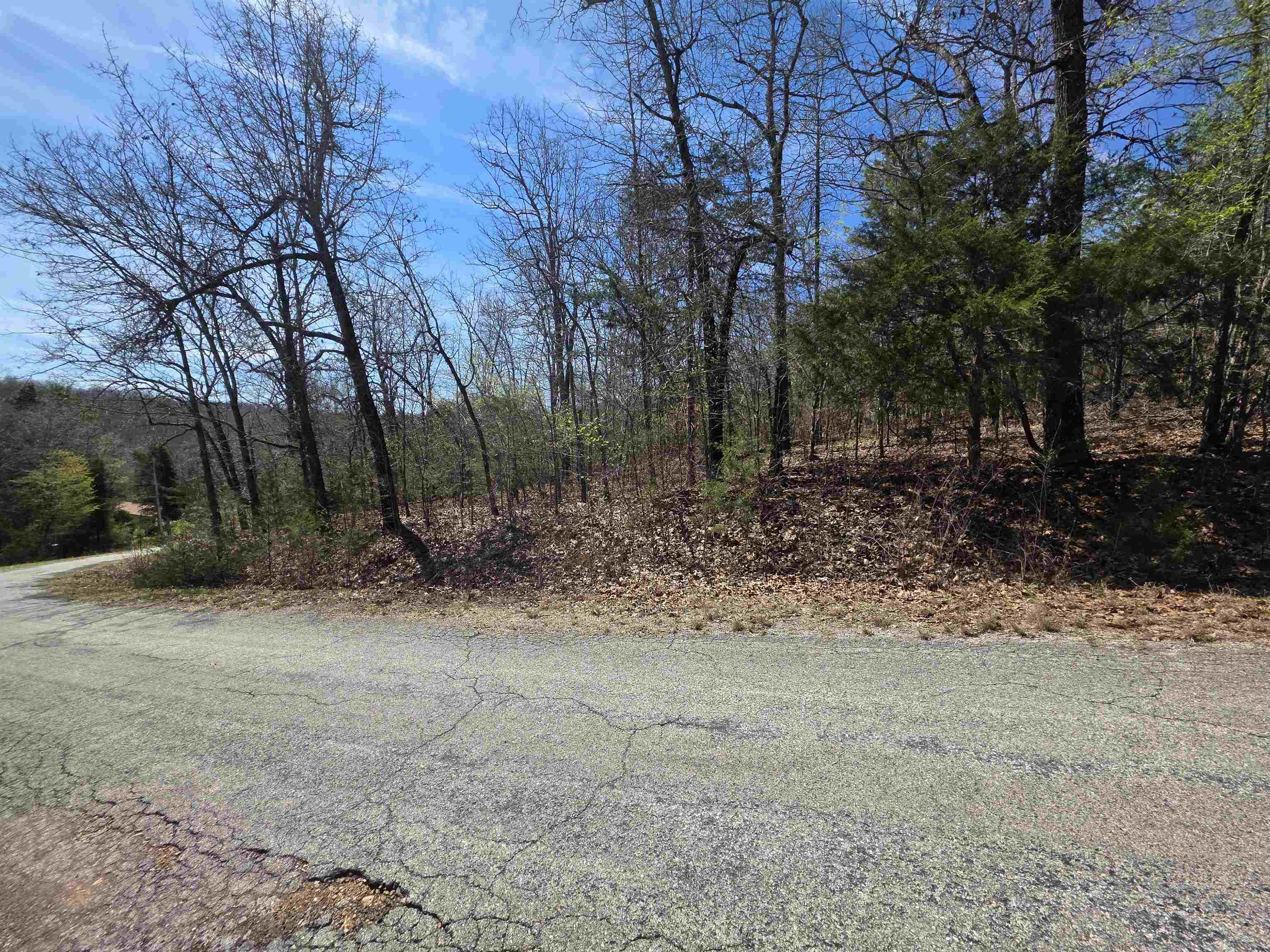 L-39 B-10 Iroquois  Cherokee Village, AR